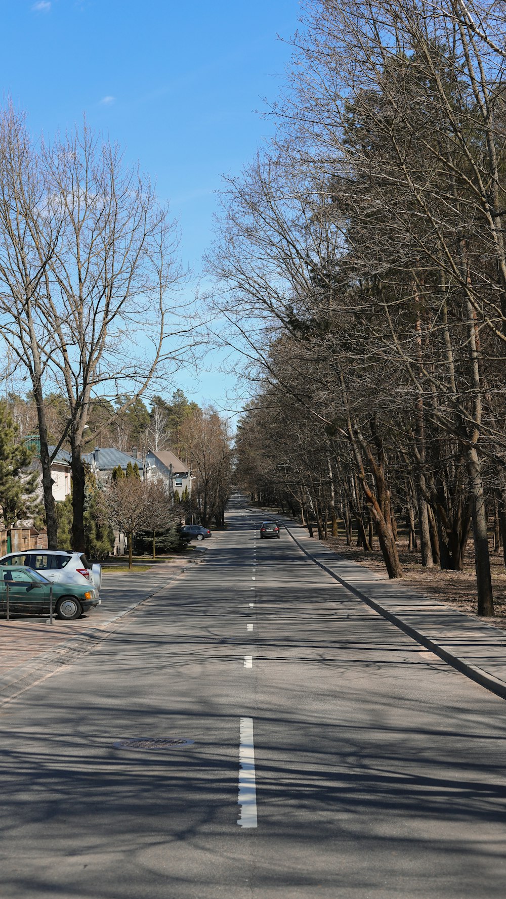 a street with trees on the side