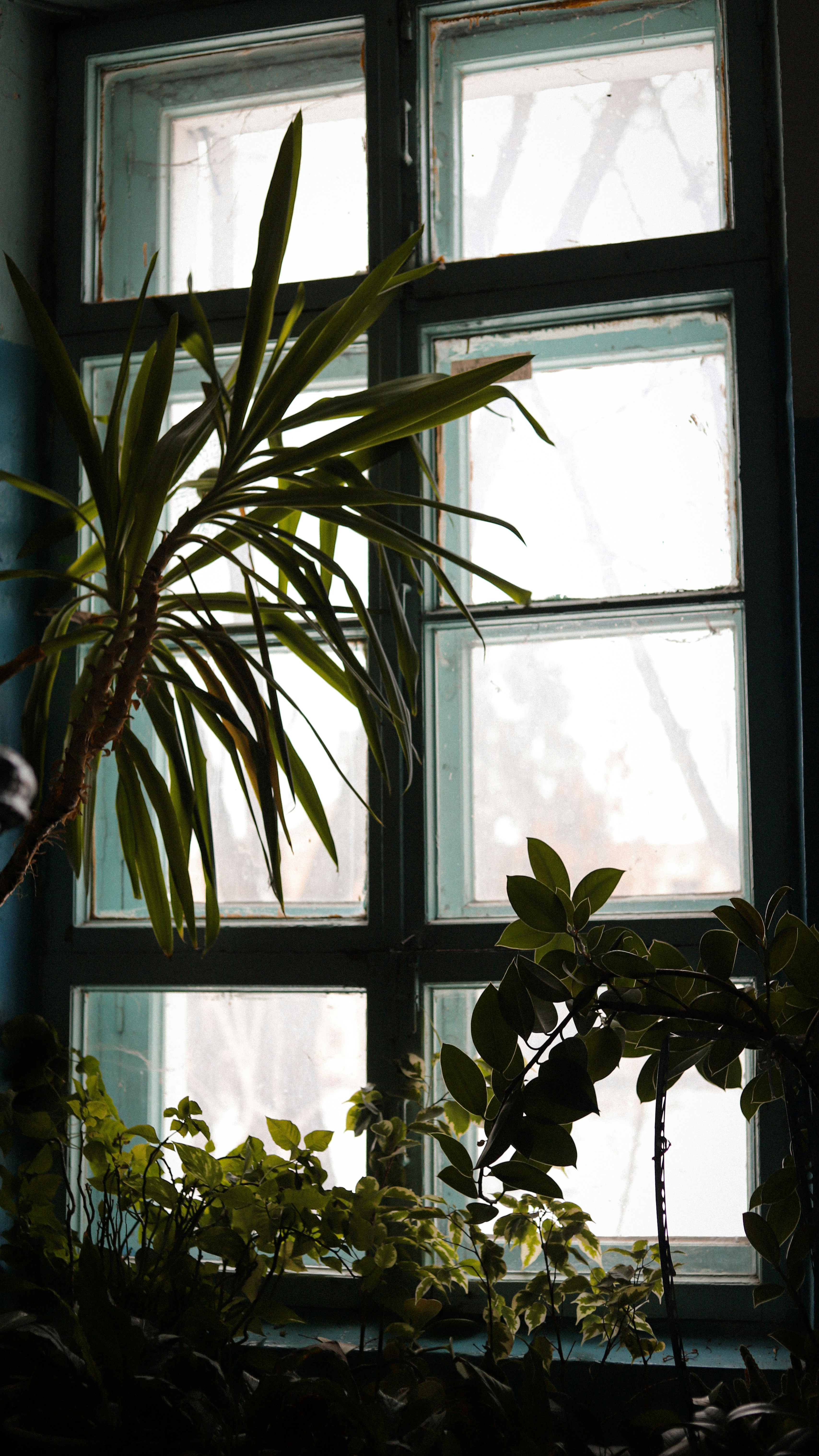 Photo by art_almighty