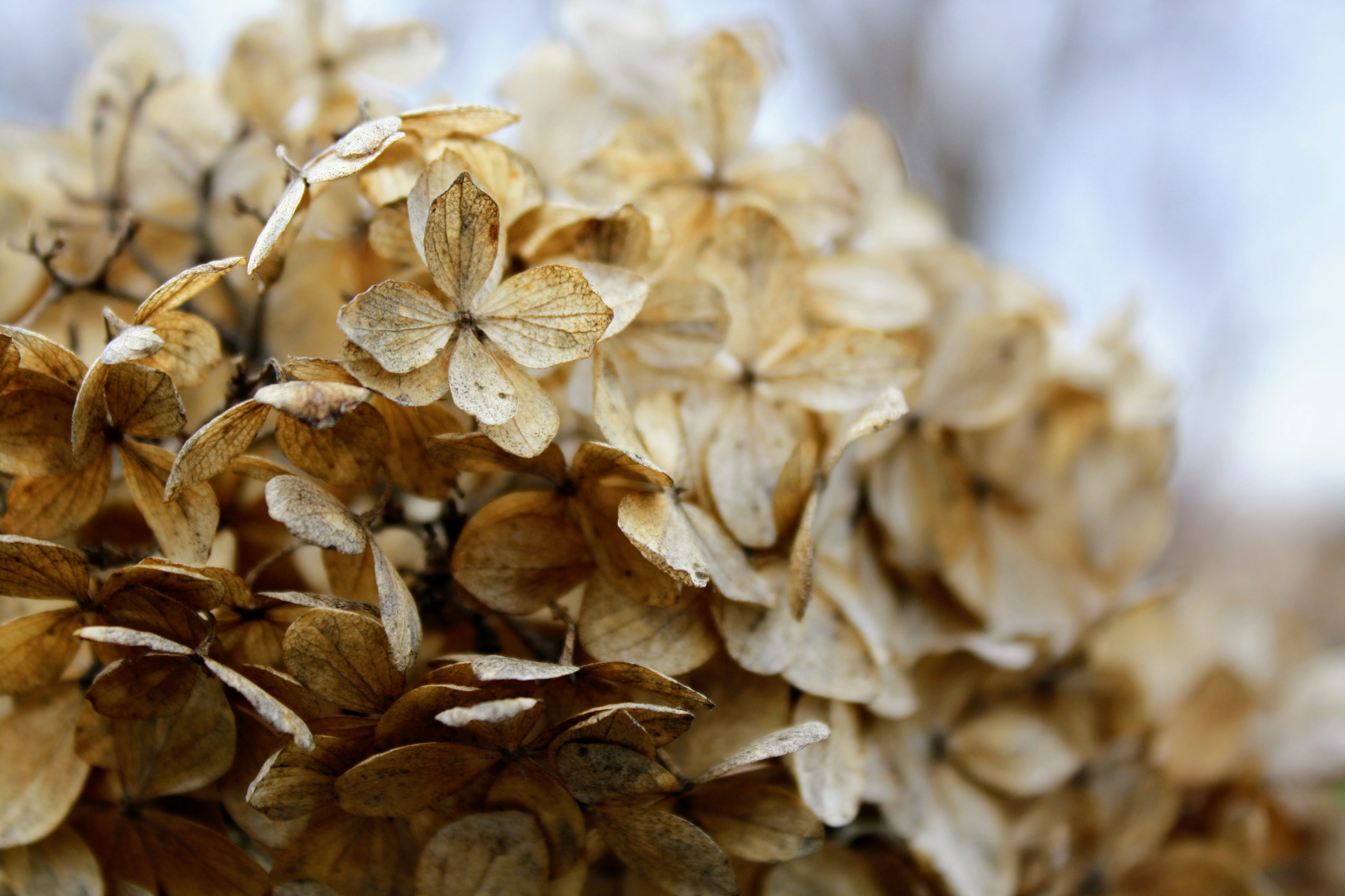 Photo by refraction_photography_084