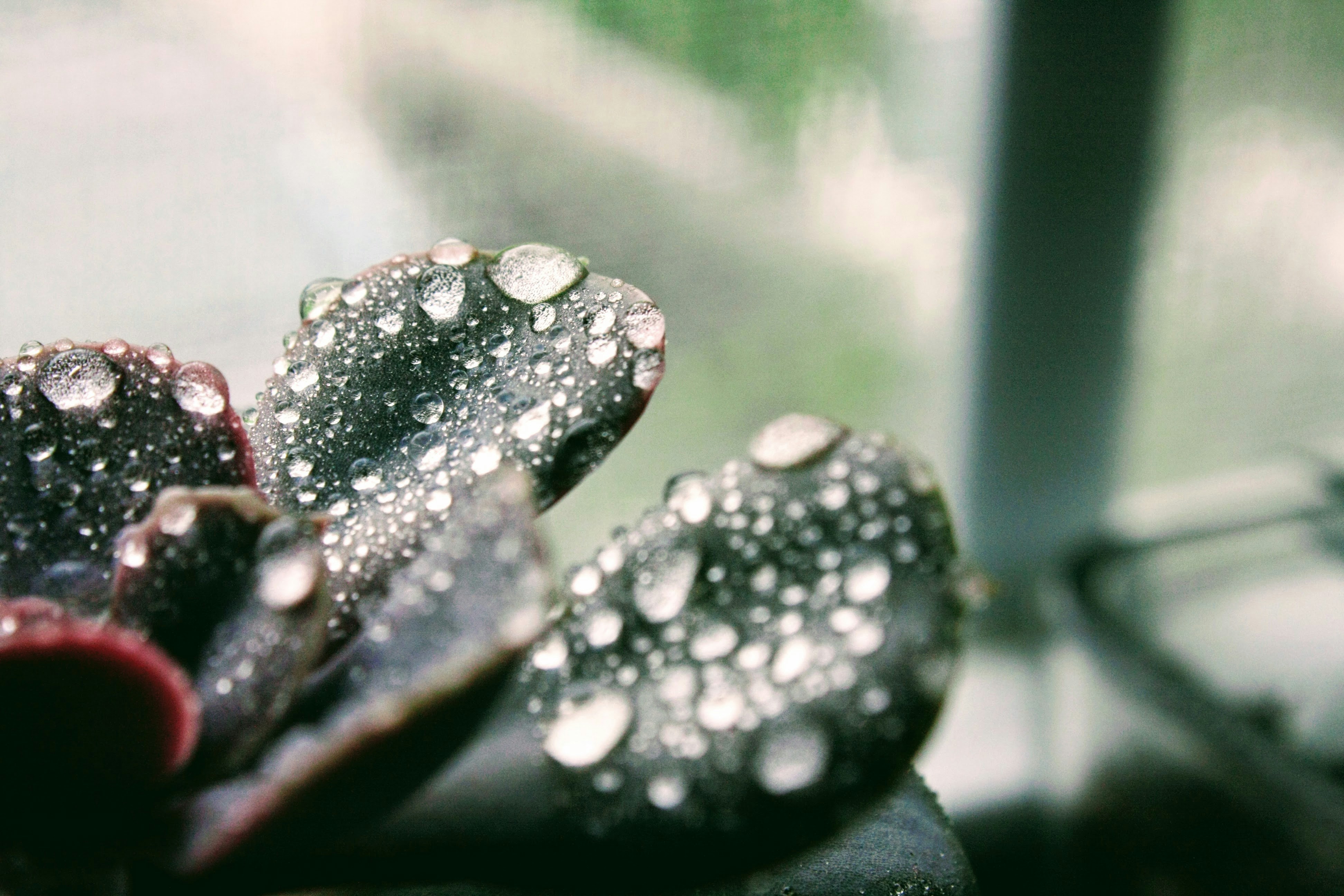 Photo by refraction_photography_084