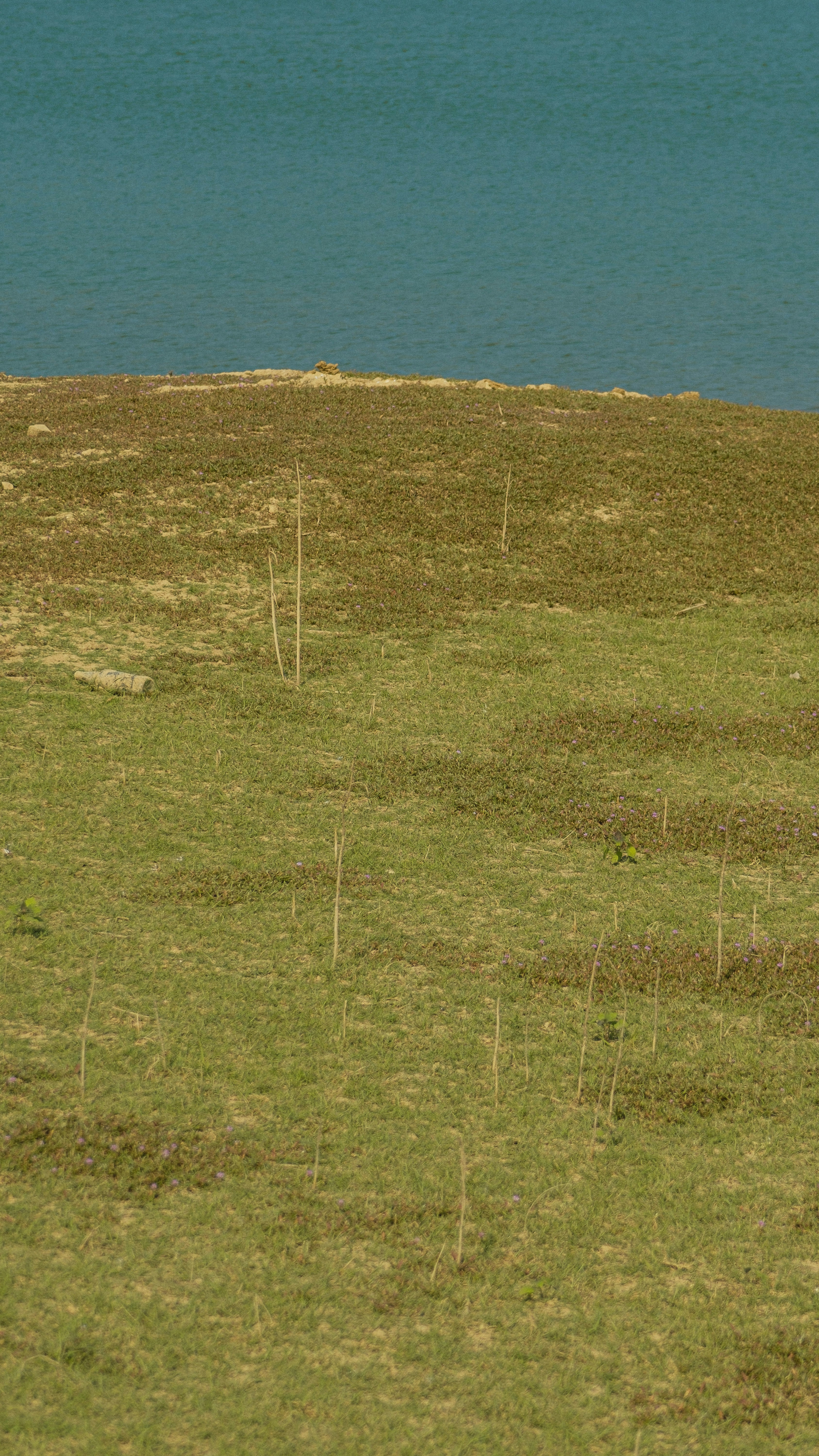 Photo by xiexianghua