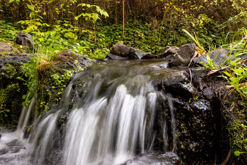 a small waterfall in a forest