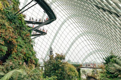 a large glass dome with people inside