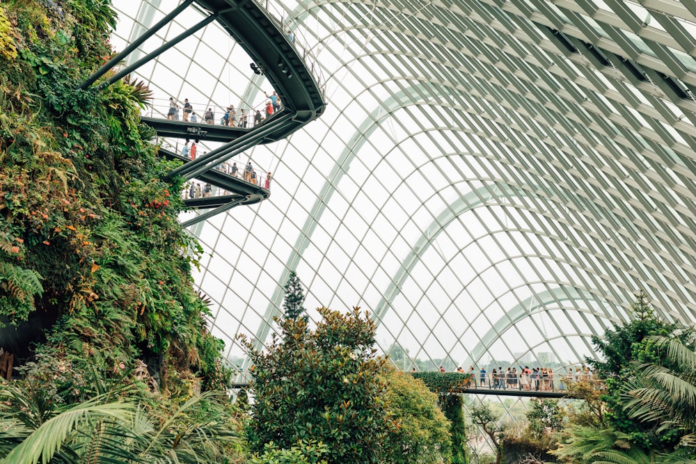 a large glass dome with people inside