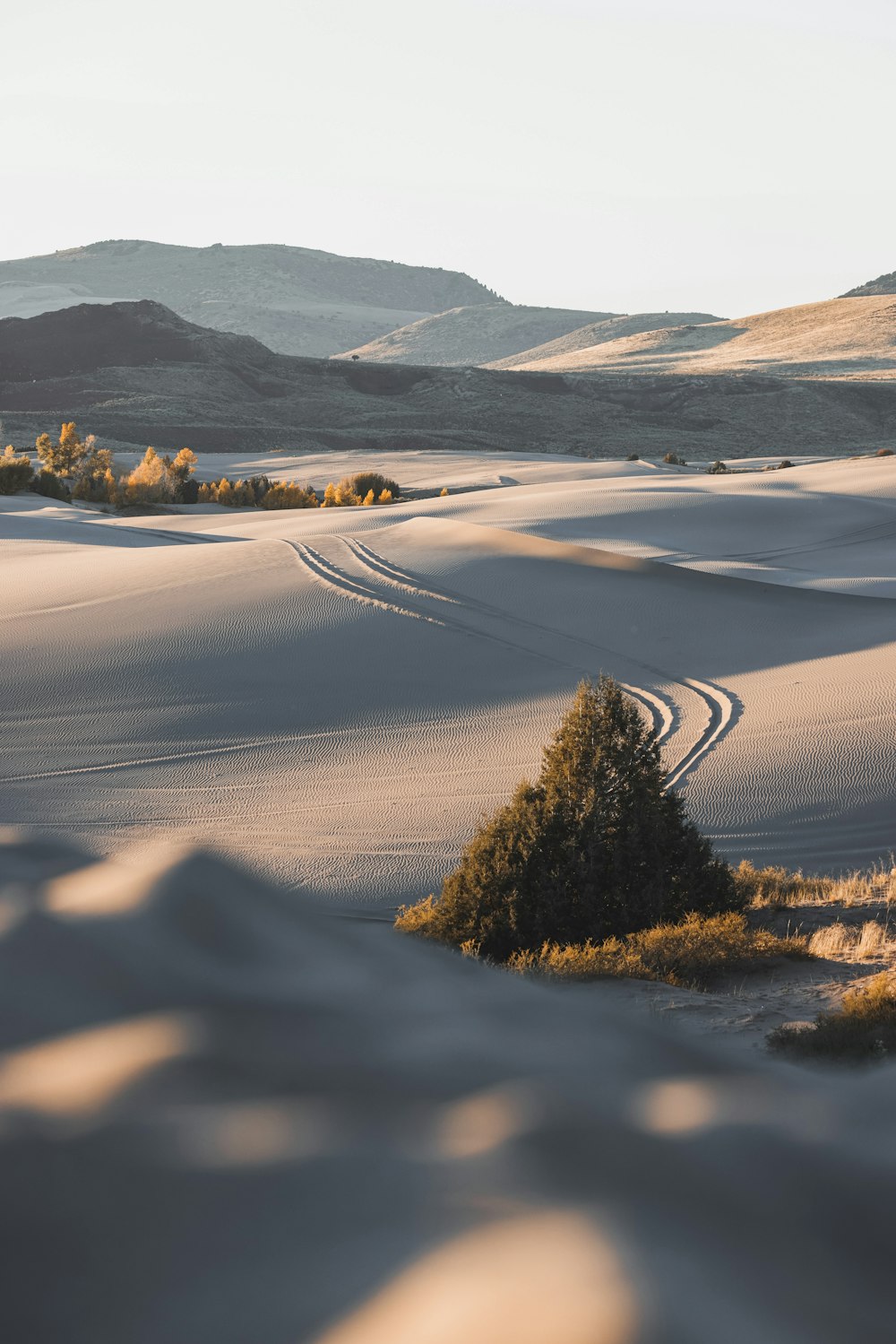 un río con una carretera y árboles