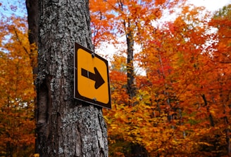 A sign with a right-pointing arrow is attached to a tree in a forest filled with vibrant autumn foliage. The leaves display various shades of orange, red, and yellow, creating a warm and colorful background.