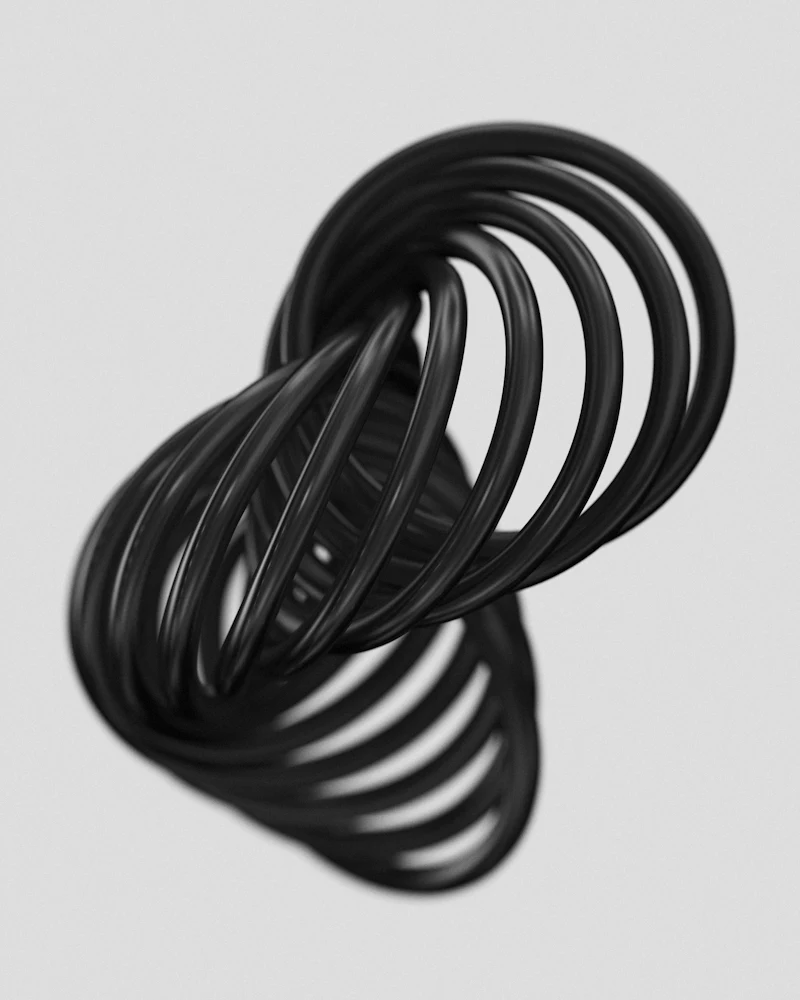 Mechanical Seal view 2