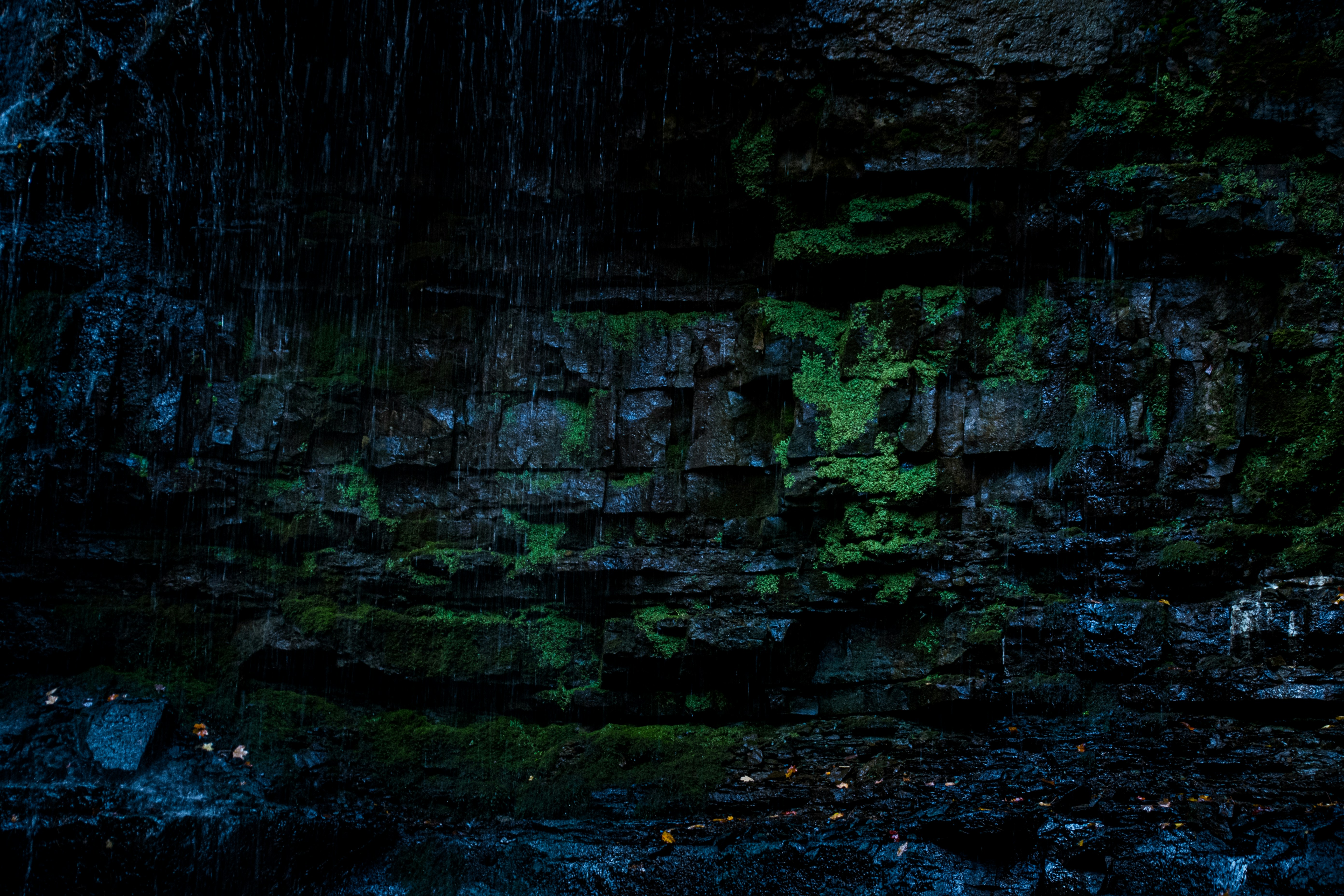 Photo by andrewgazula