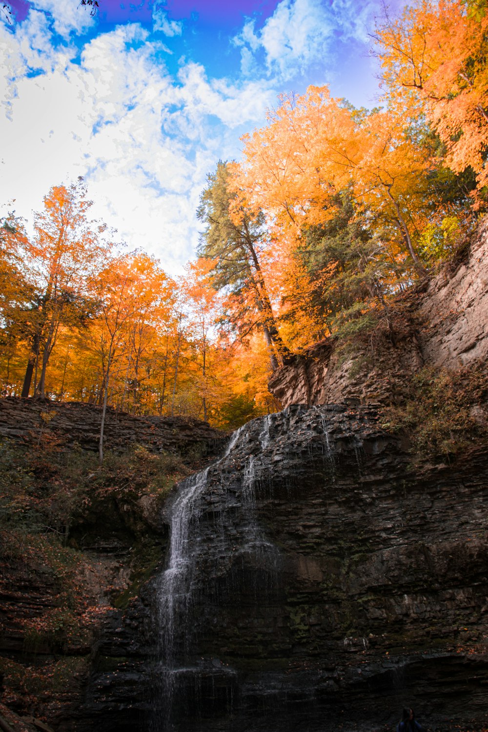 a waterfall with trees around it