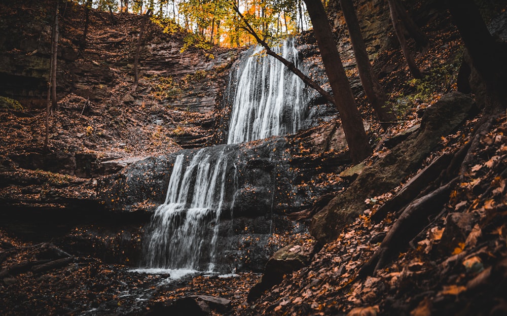 a waterfall in a forest