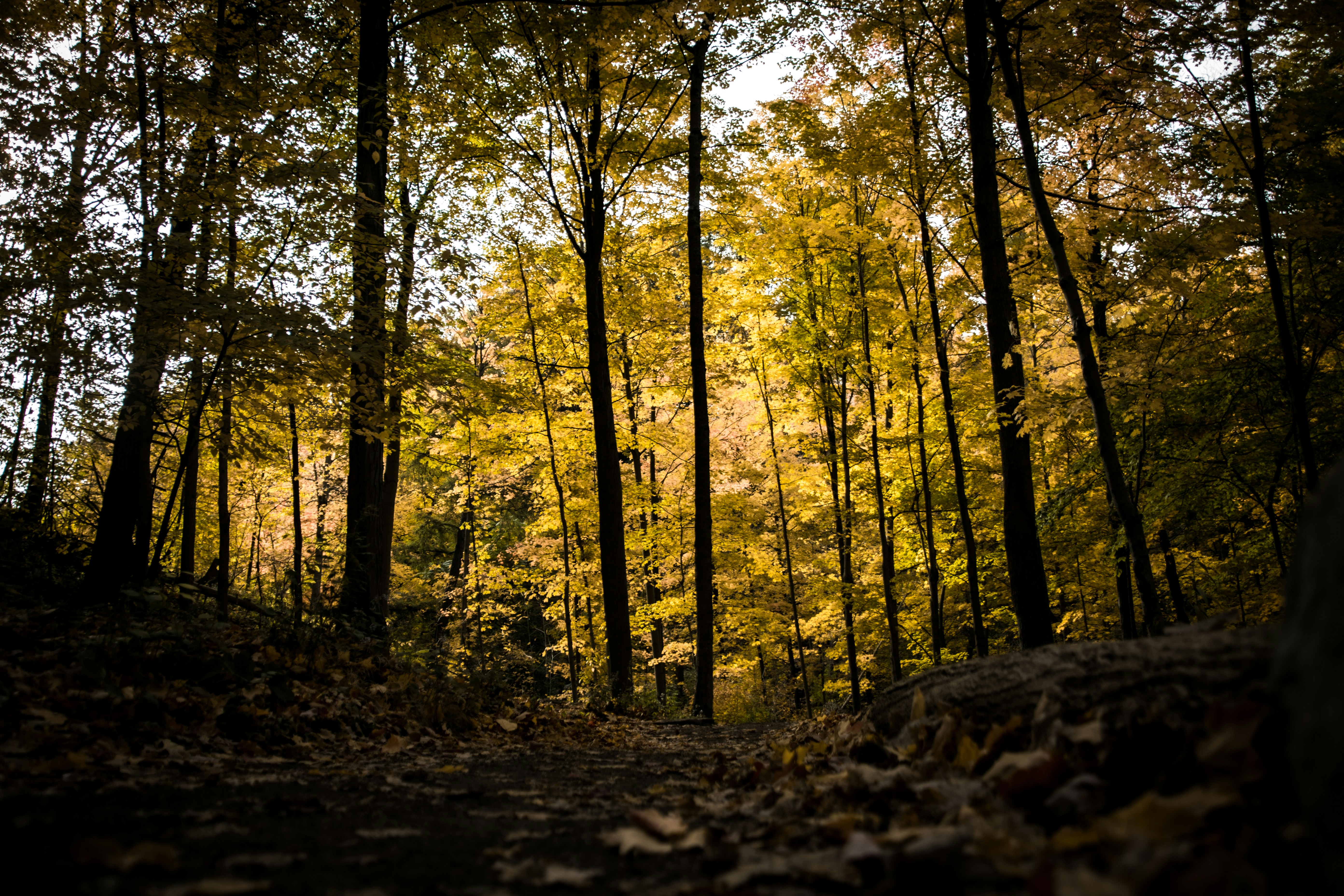 Photo by andrewgazula