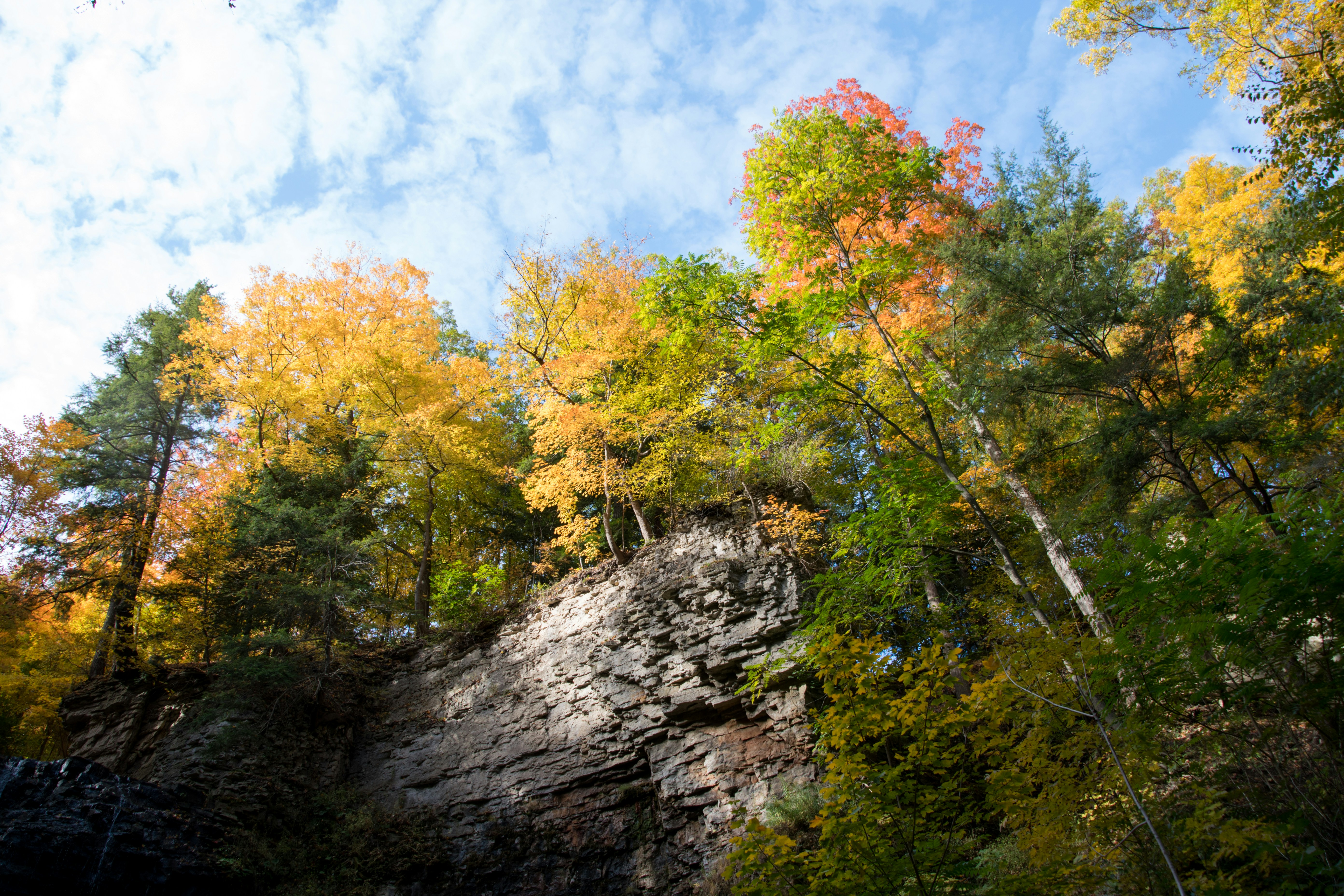 Photo by andrewgazula