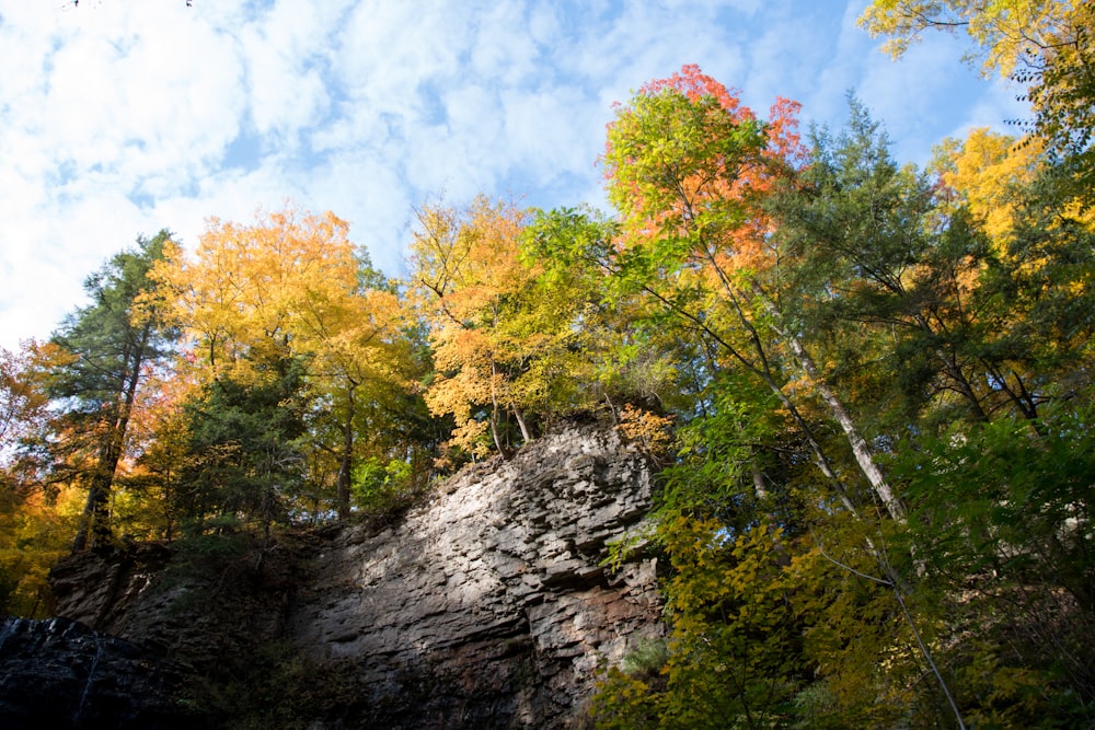 a rocky cliff with trees on it