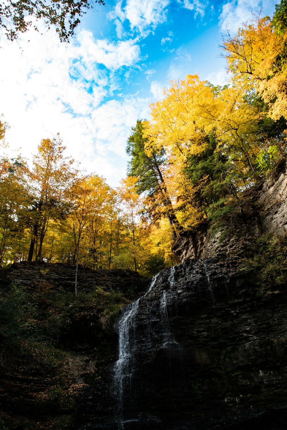 a waterfall in a forest