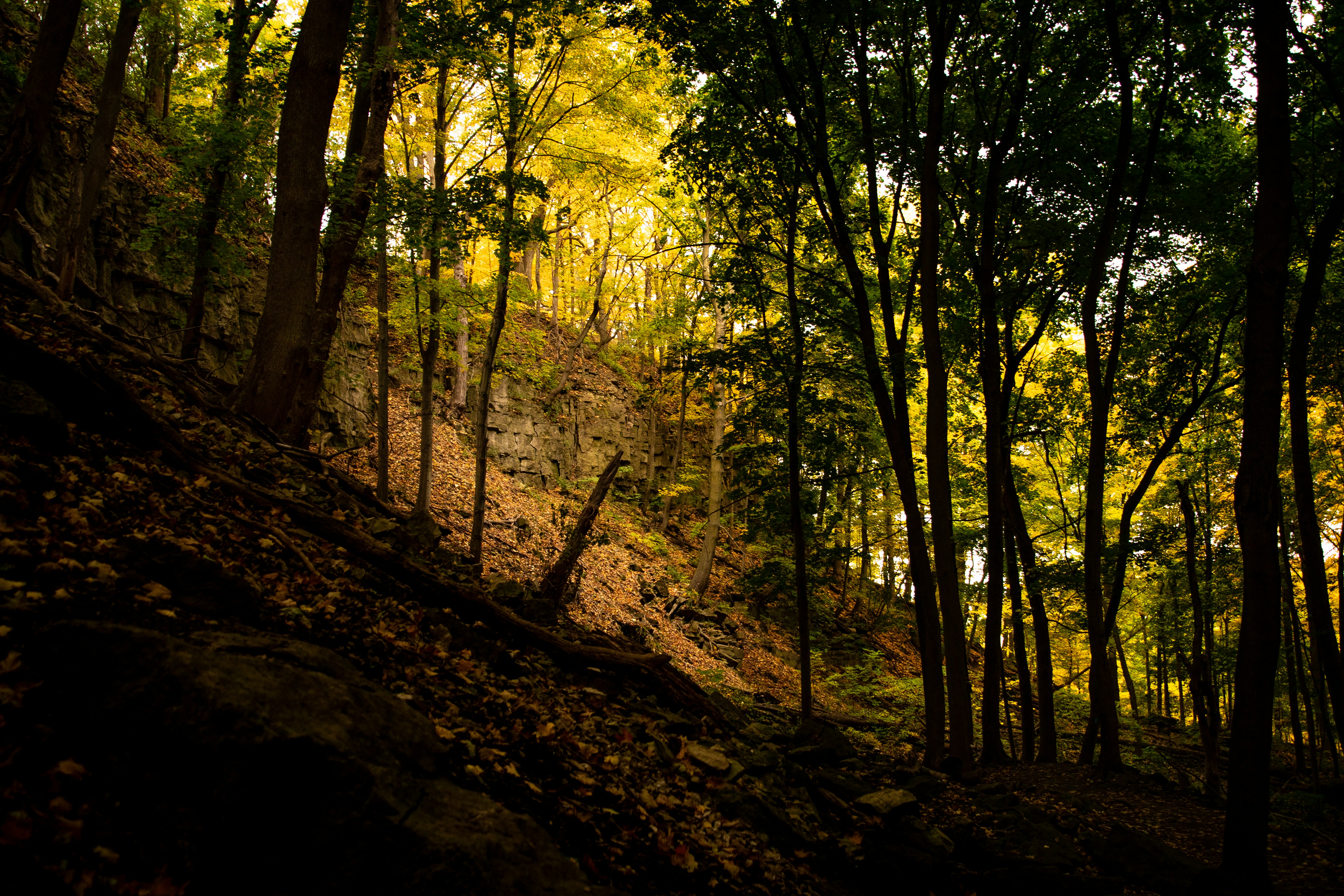 Photo by andrewgazula