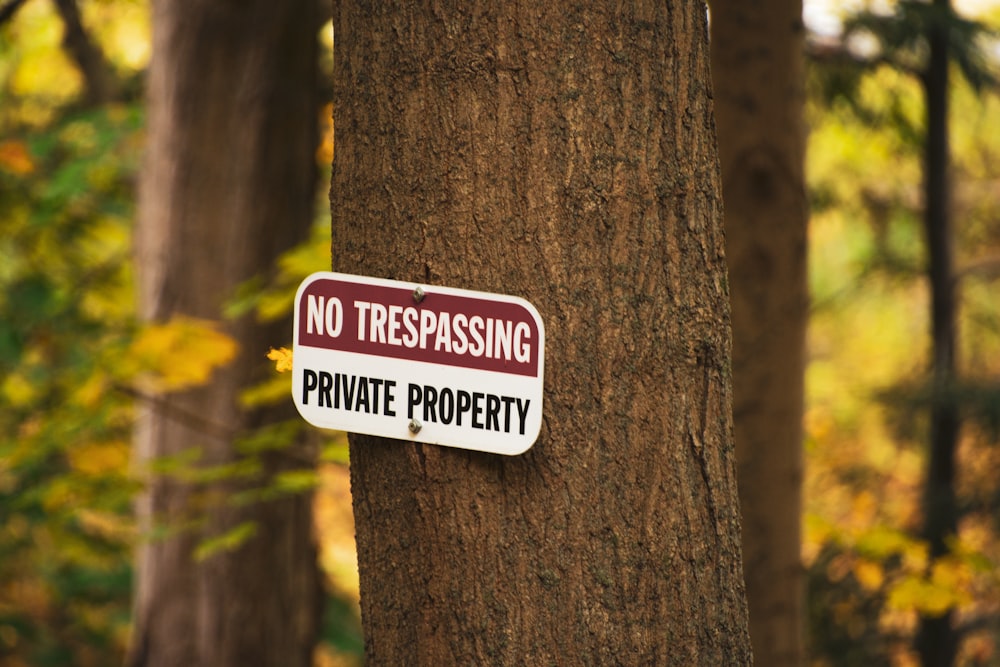 a sign on a tree