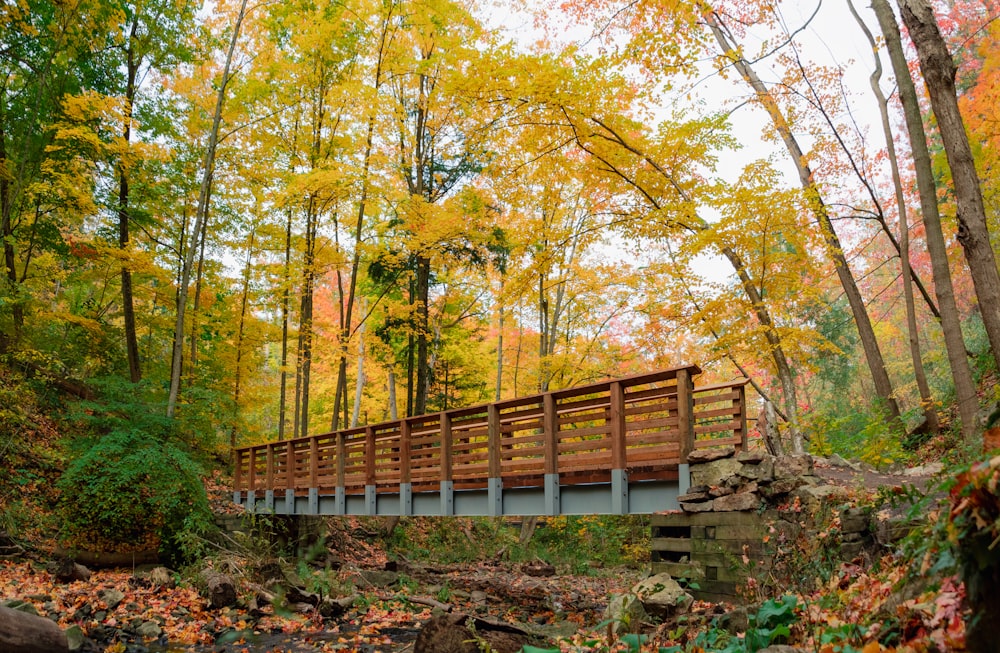 a bridge over a river