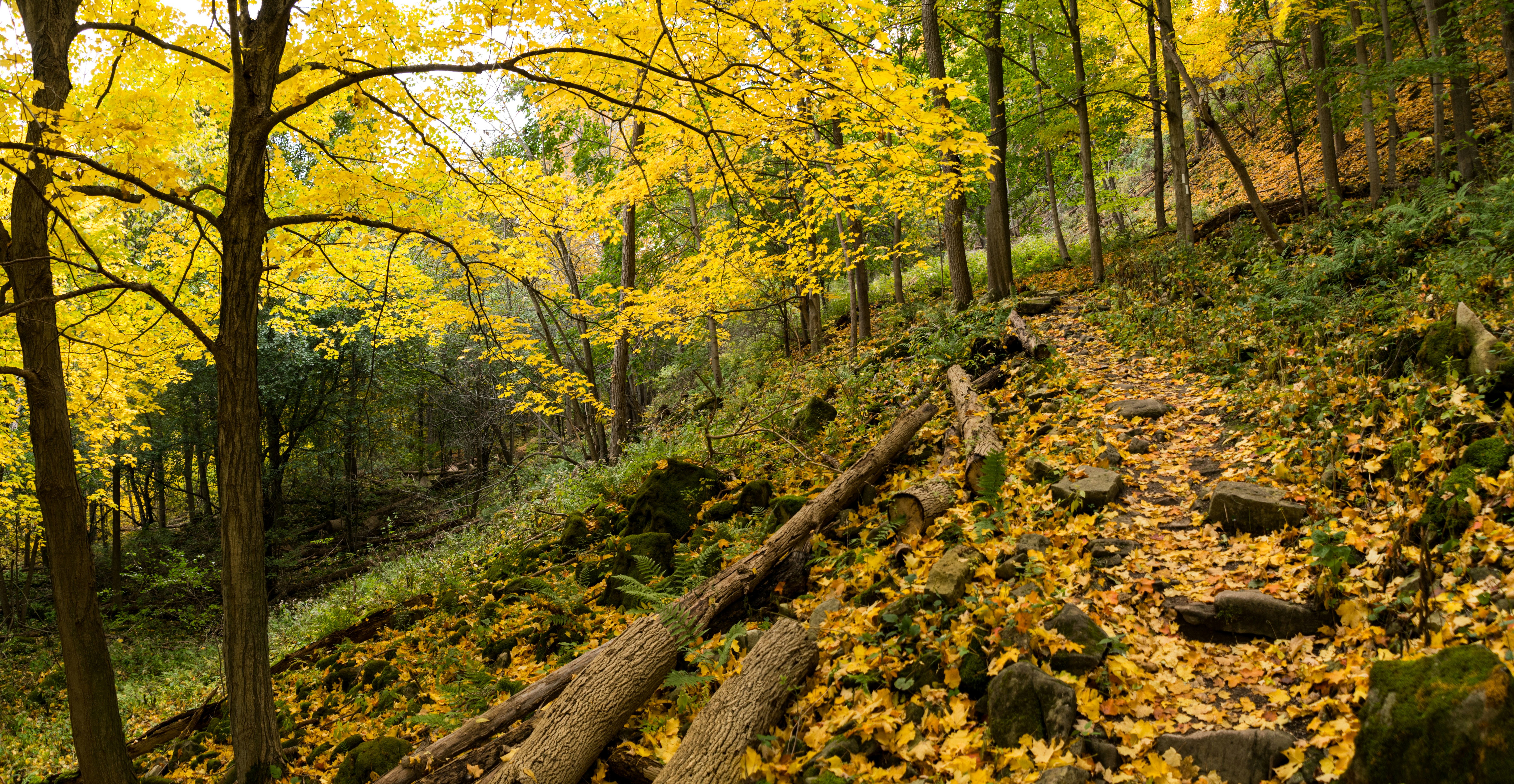 Photo by andrewgazula