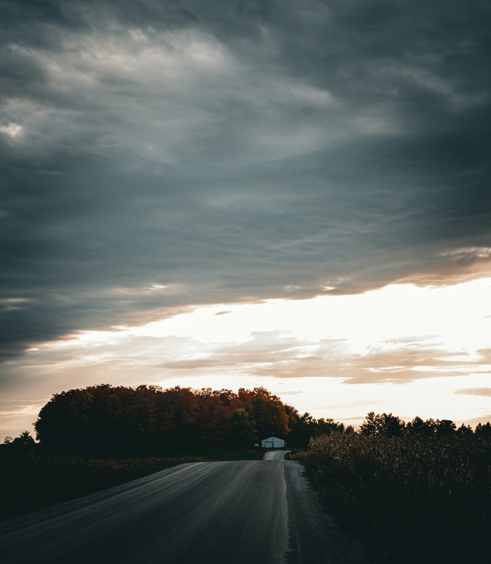 a road with trees on the side