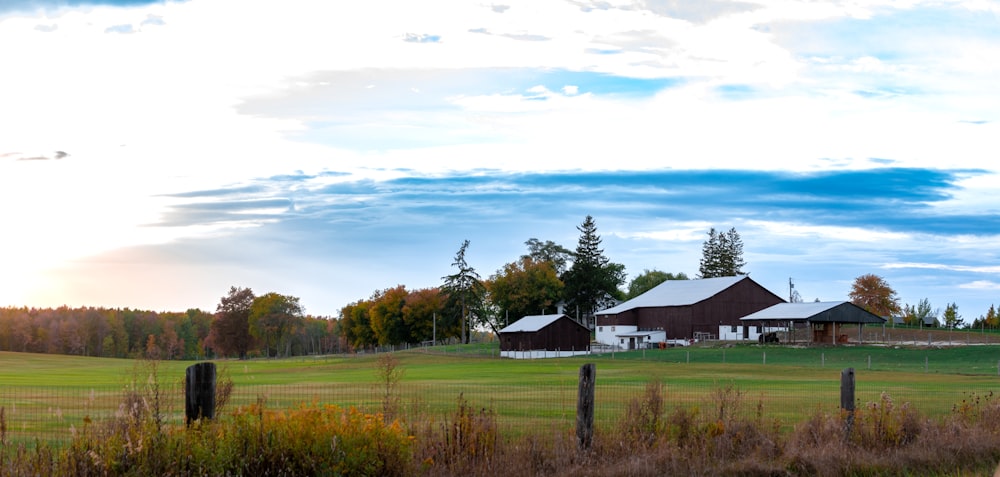 a field with buildings in the background