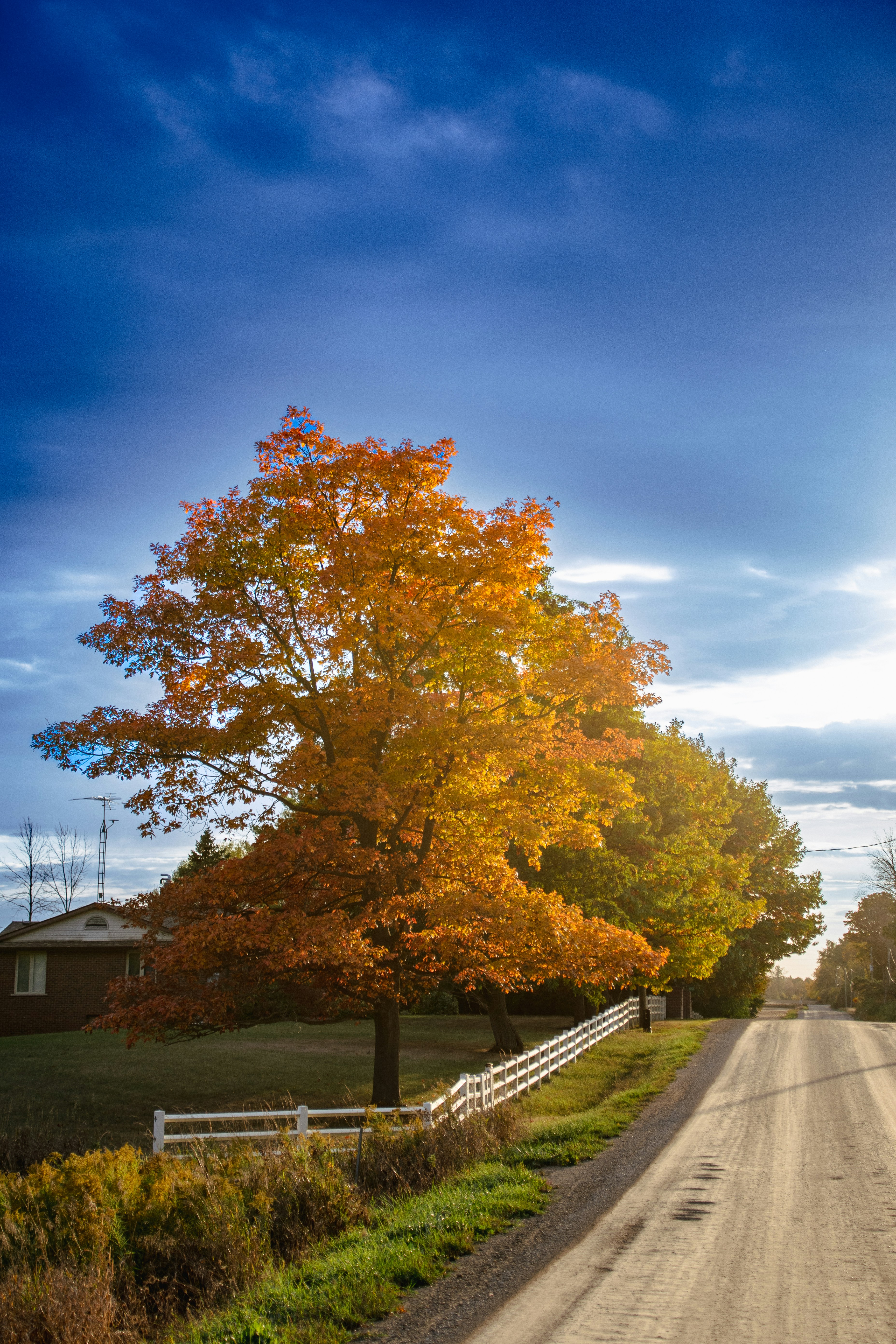 Photo by andrewgazula