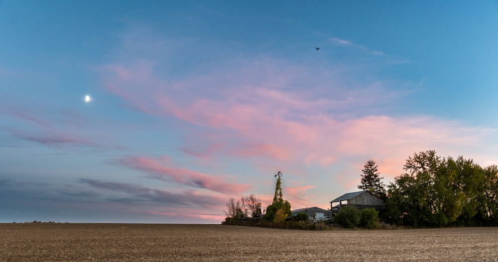 a landscape with trees and a building