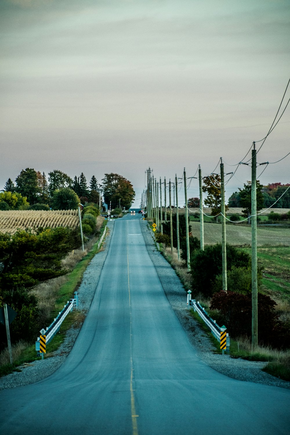a road with power lines on the side