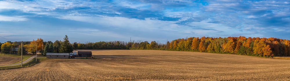 a field with trees in the background