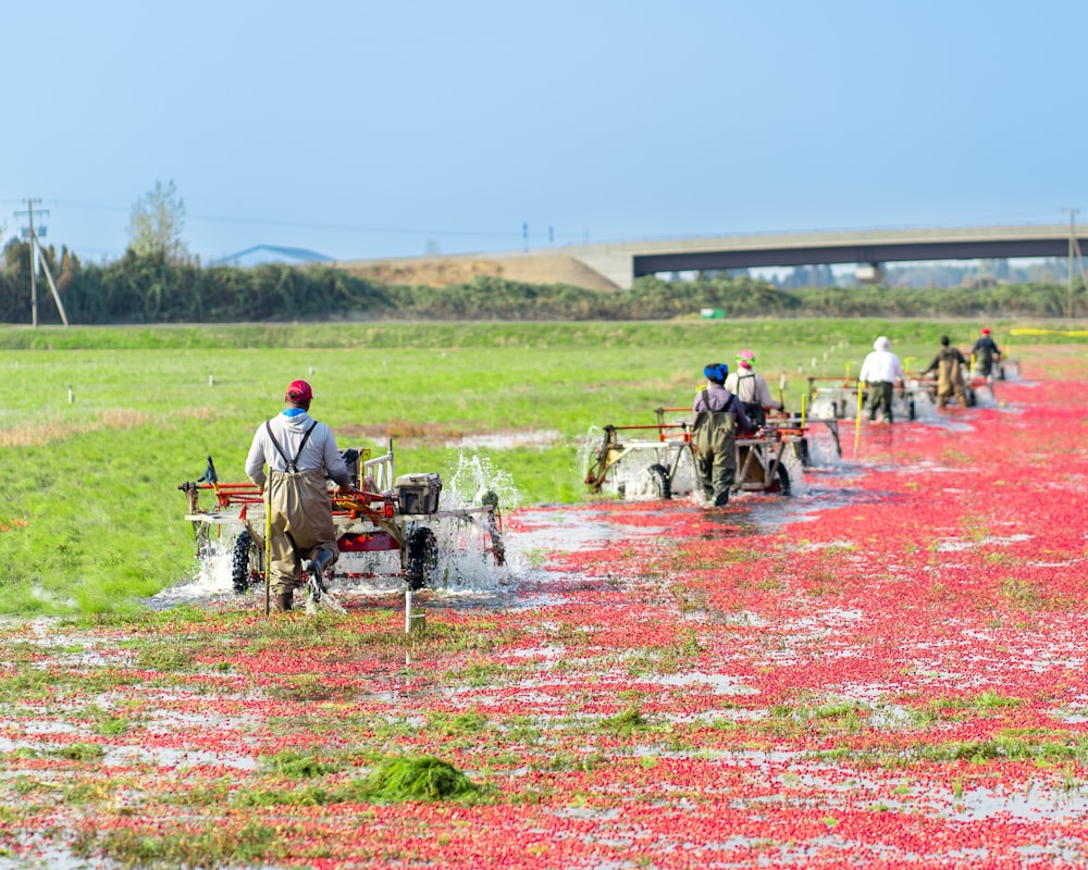 a group of people working in a field