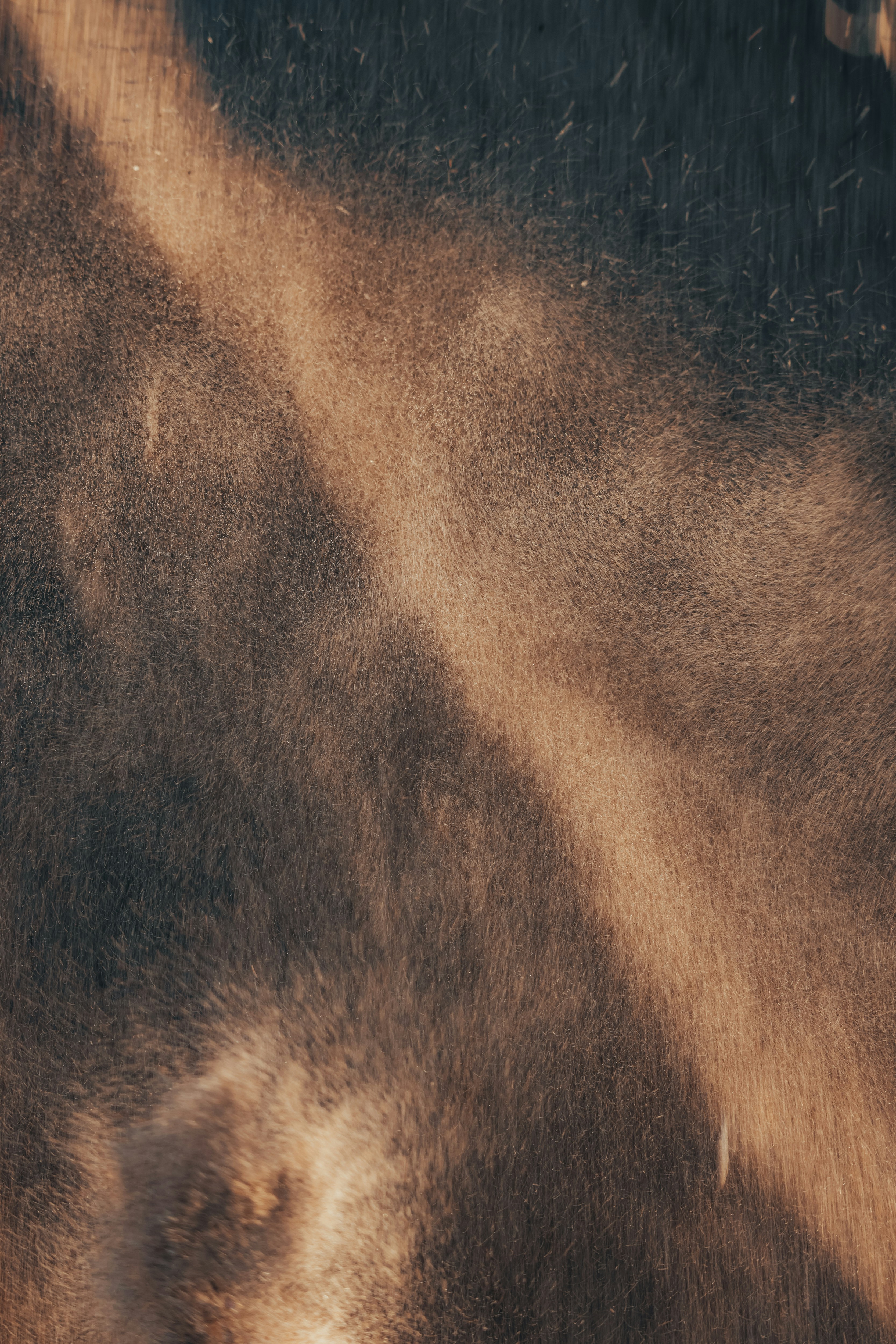 Photo by isaactmitchell