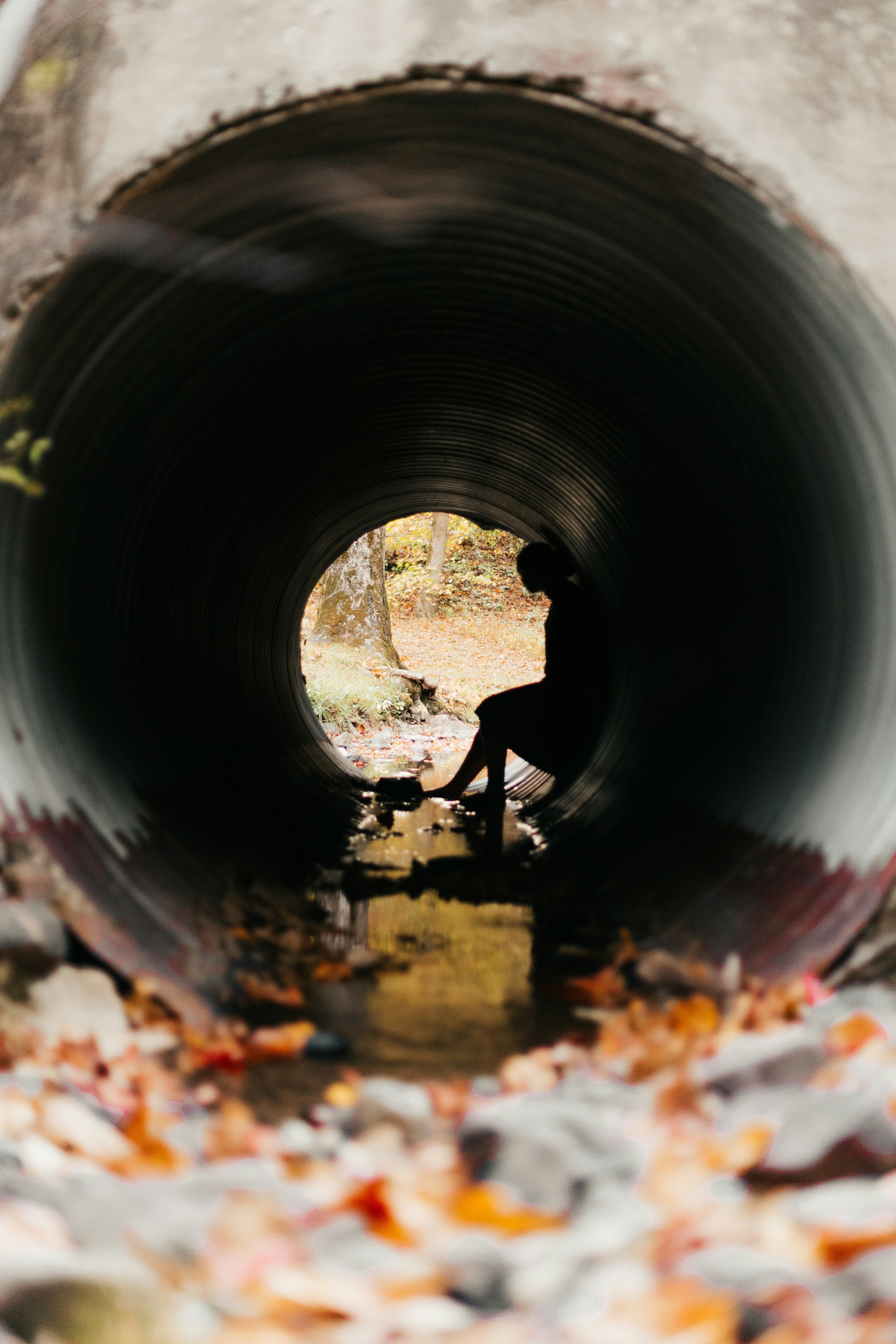 Photo by andrew_creative