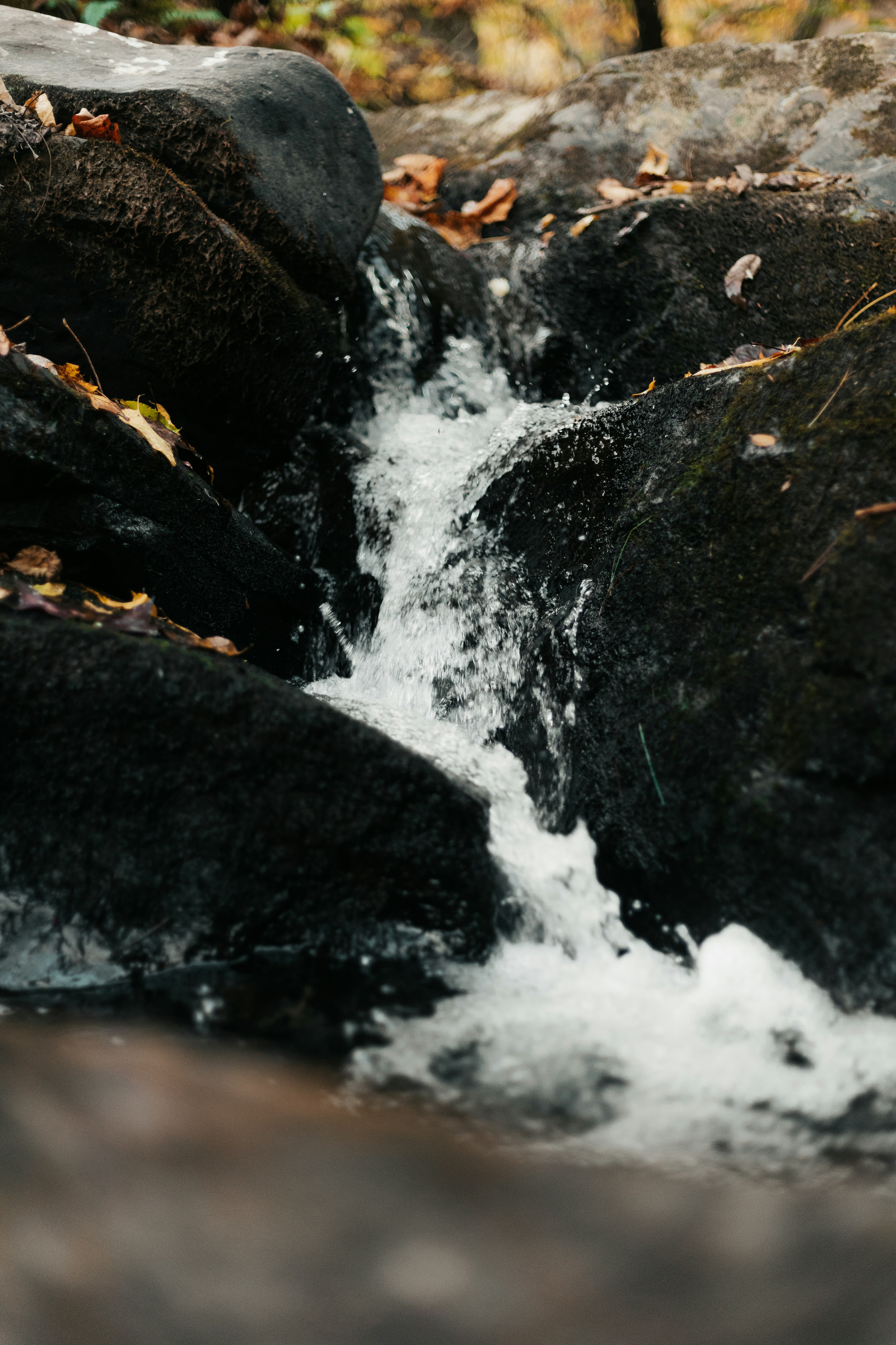 Photo by andrew_creative