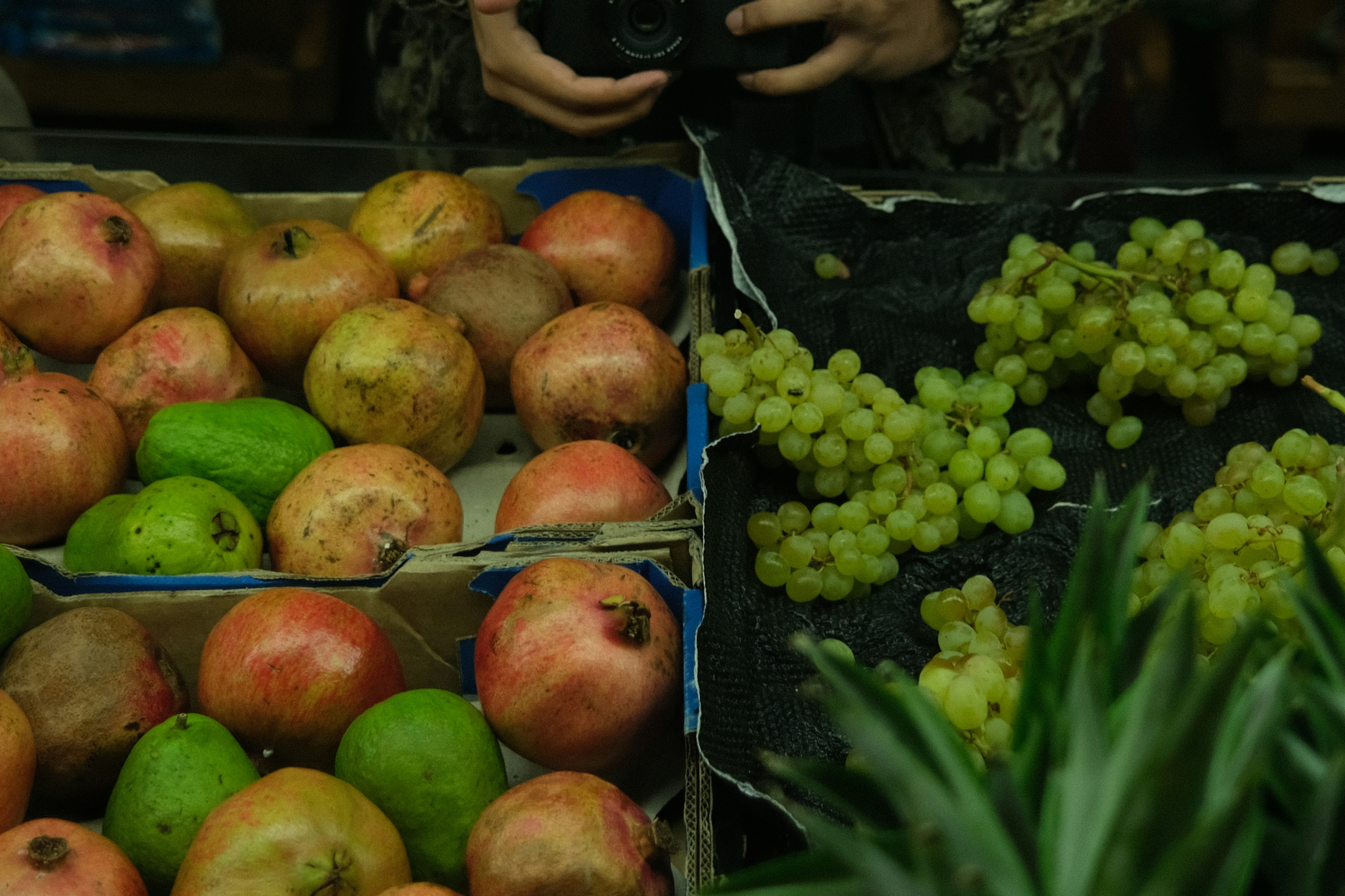 a table full of fruits