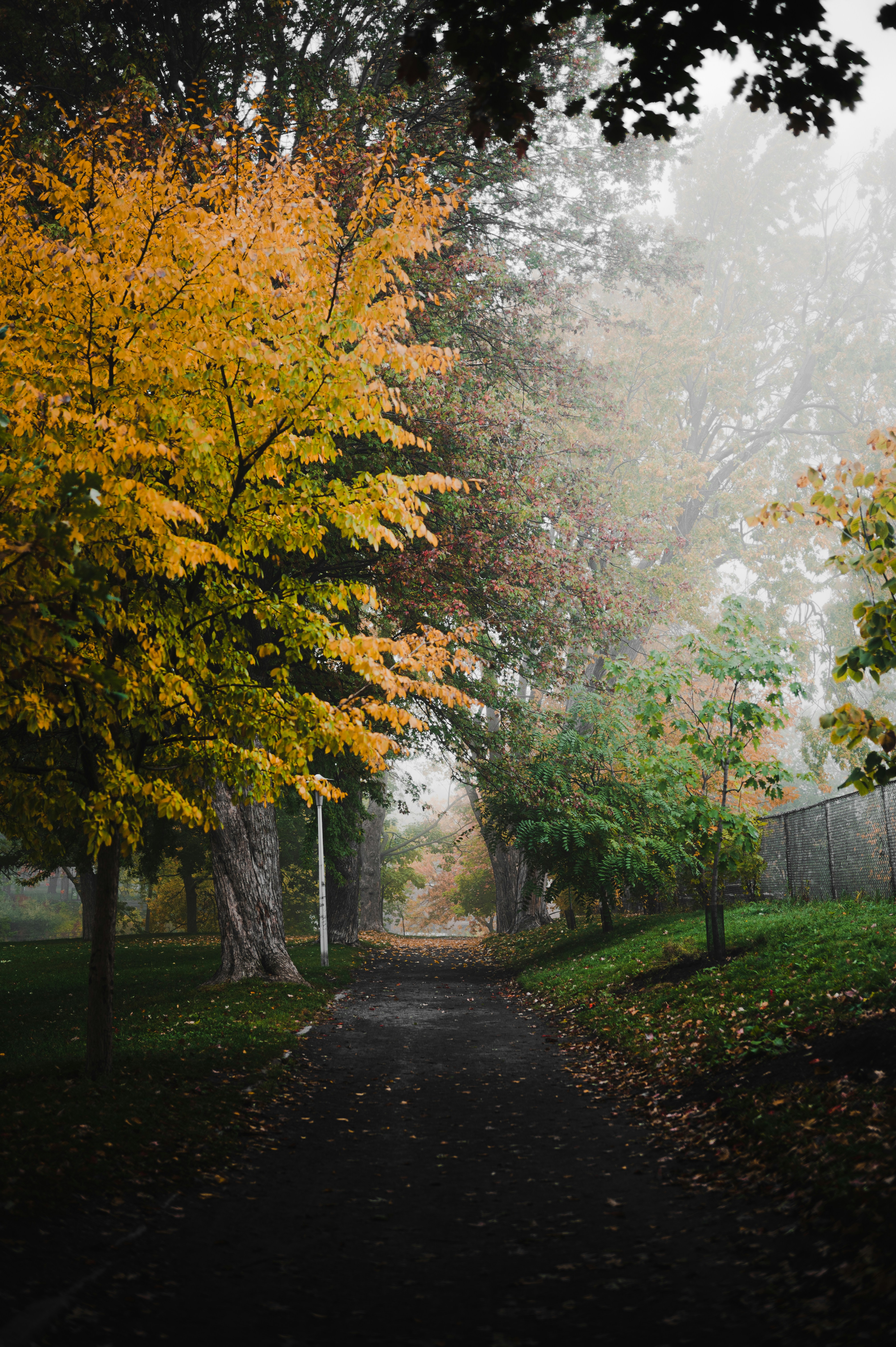 Photo by ryunosuke_kikuno