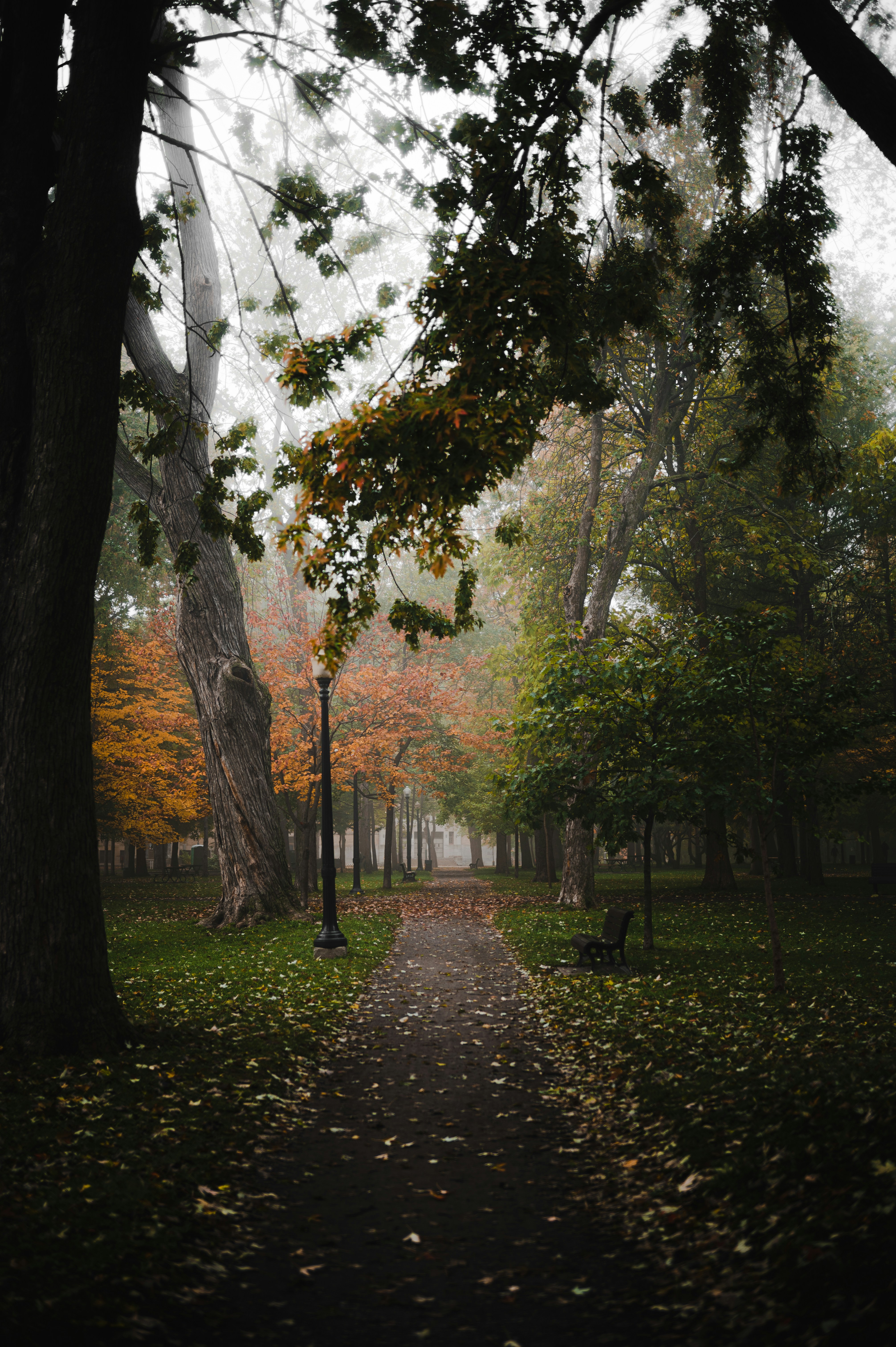 Photo by ryunosuke_kikuno