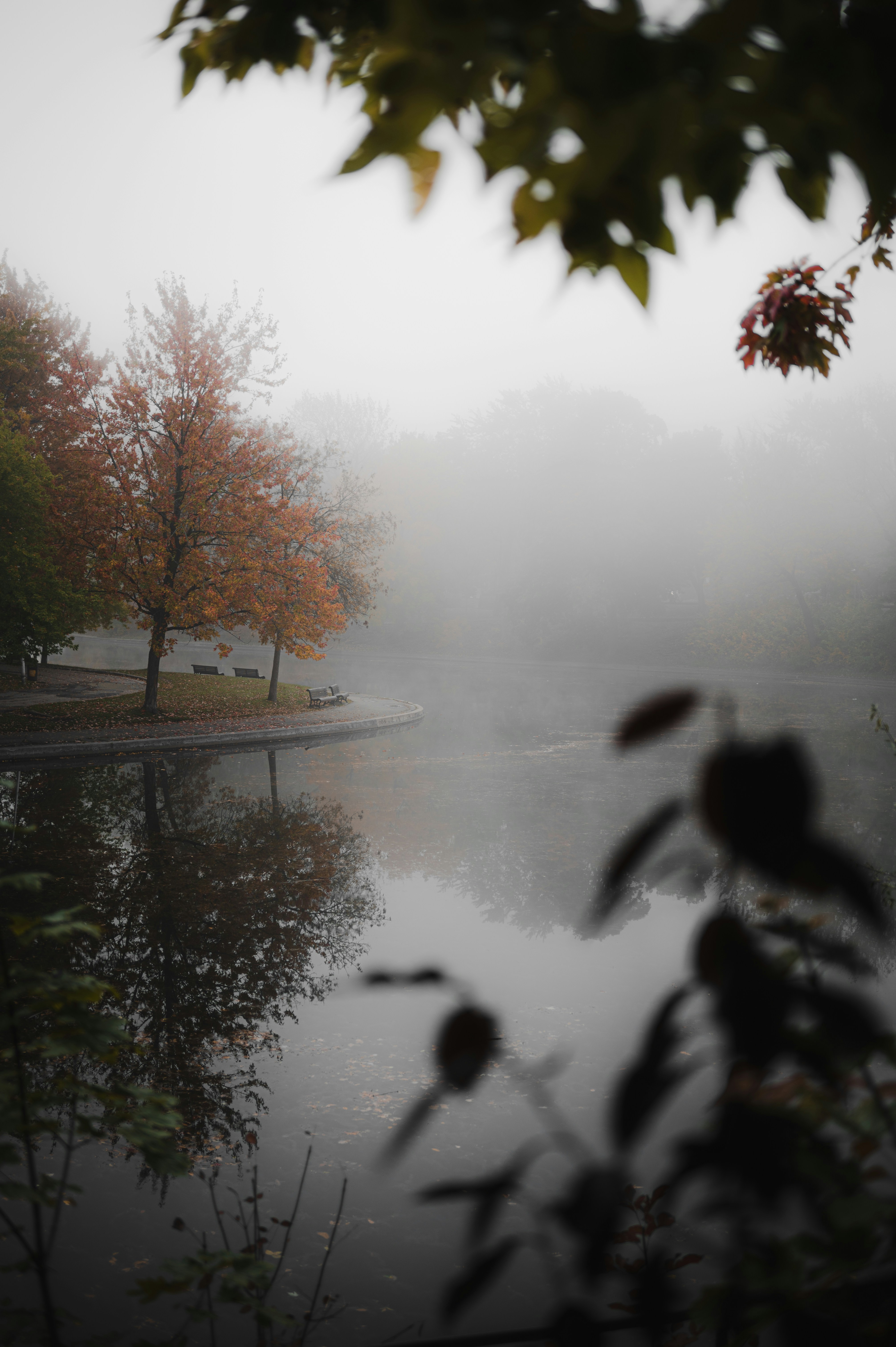 Photo by ryunosuke_kikuno