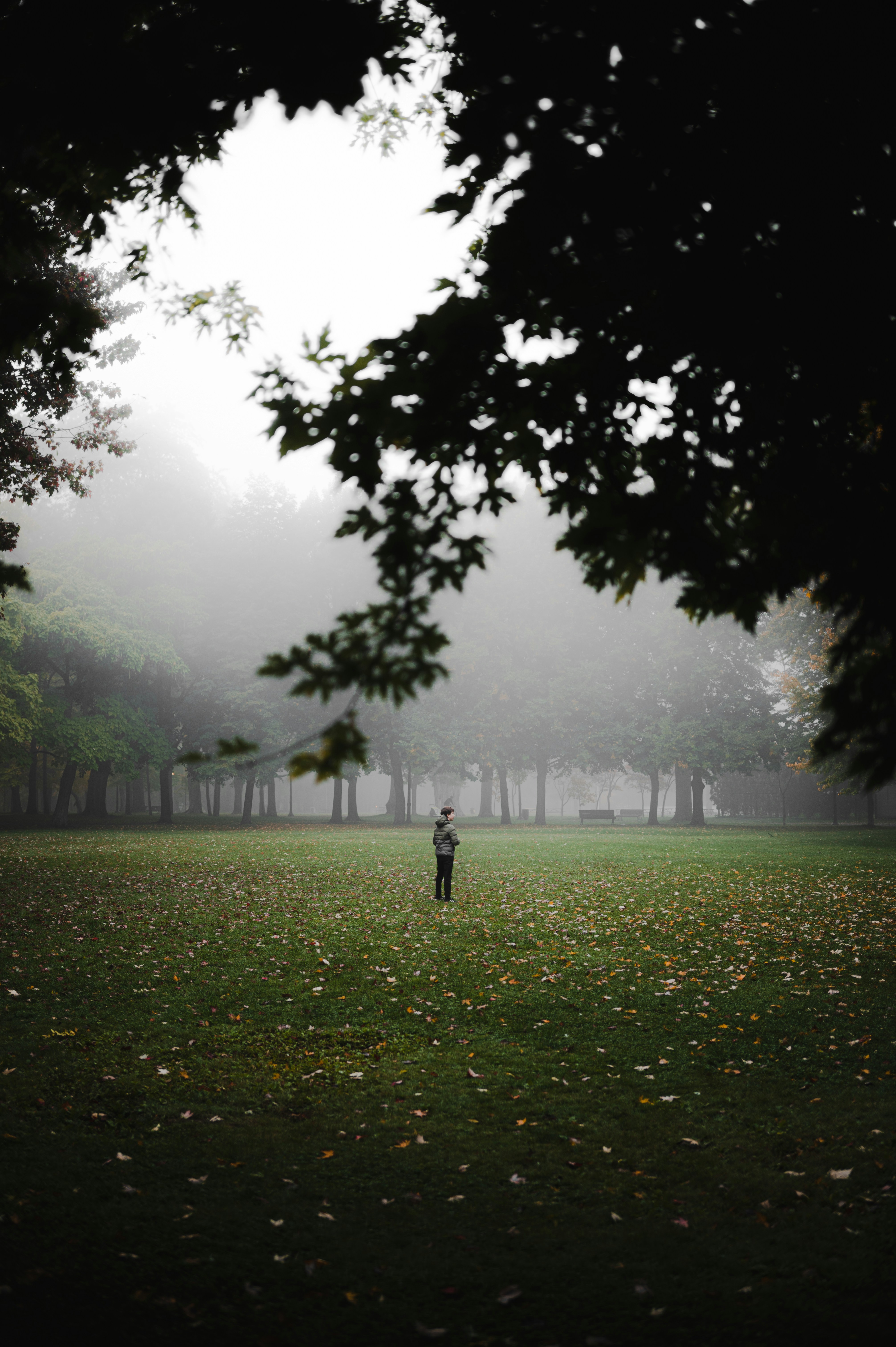 Photo by ryunosuke_kikuno