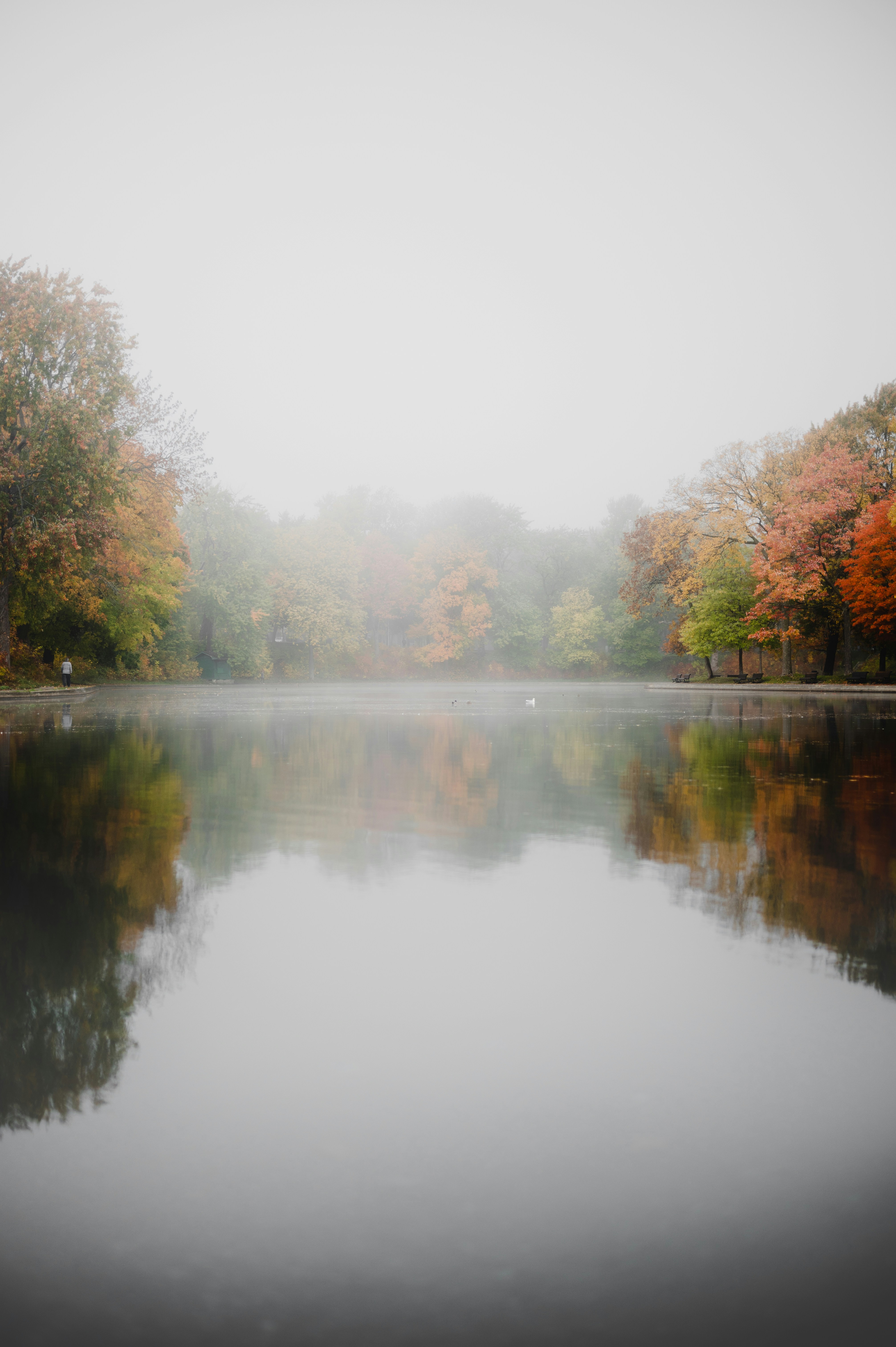 Photo by ryunosuke_kikuno