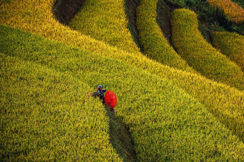 a couple people in a field