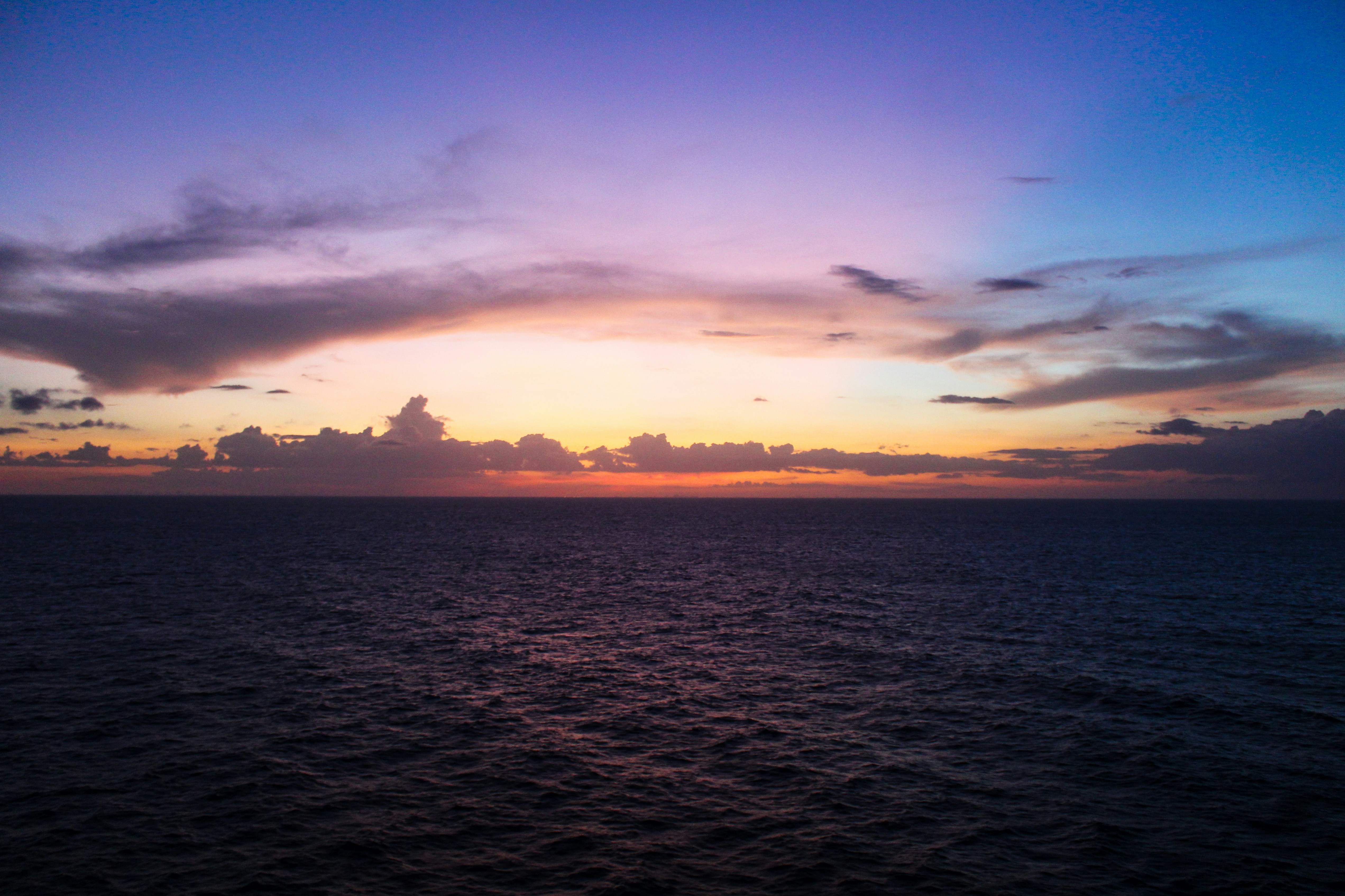 Photo by cntrlcommand