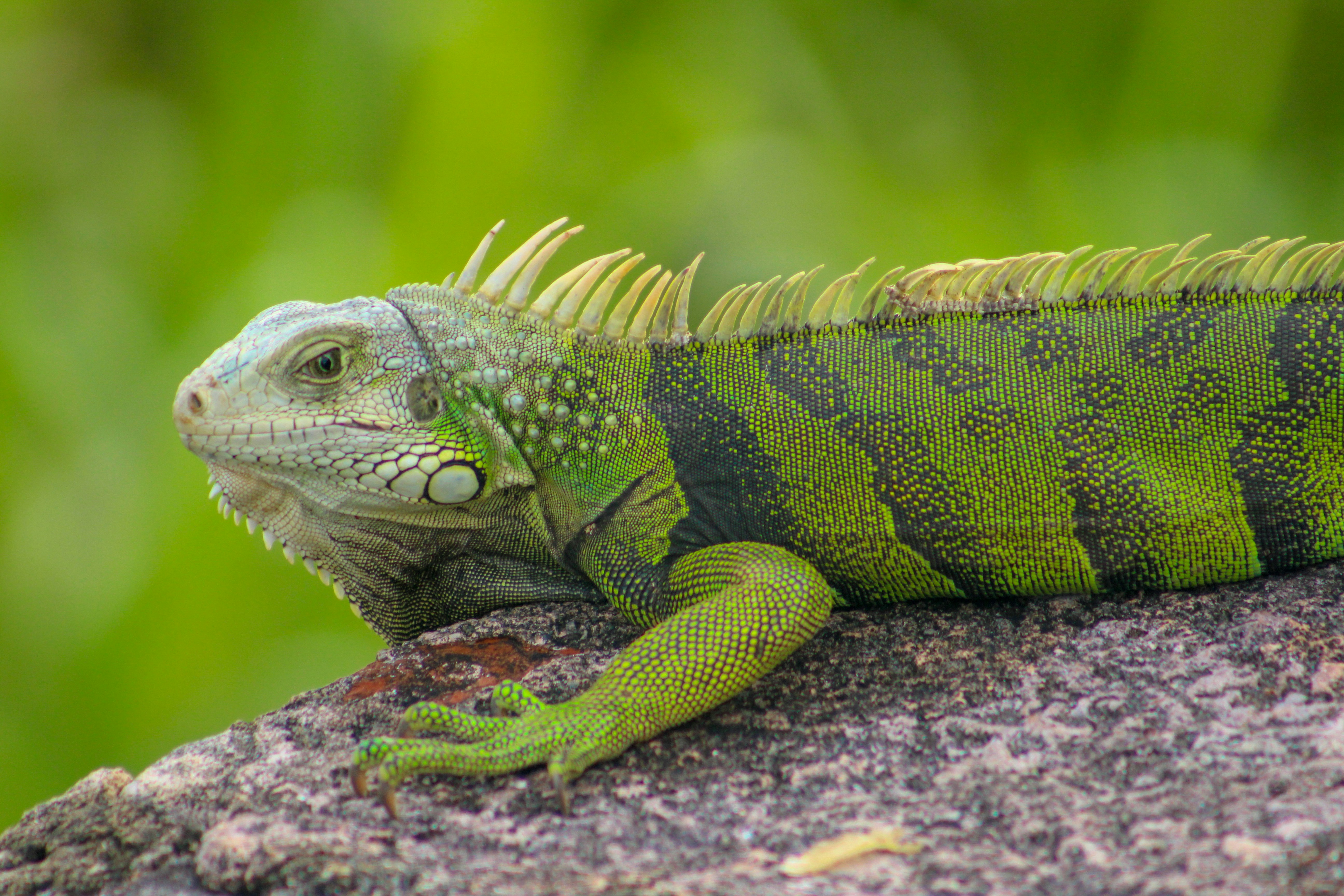 Photo by cntrlcommand