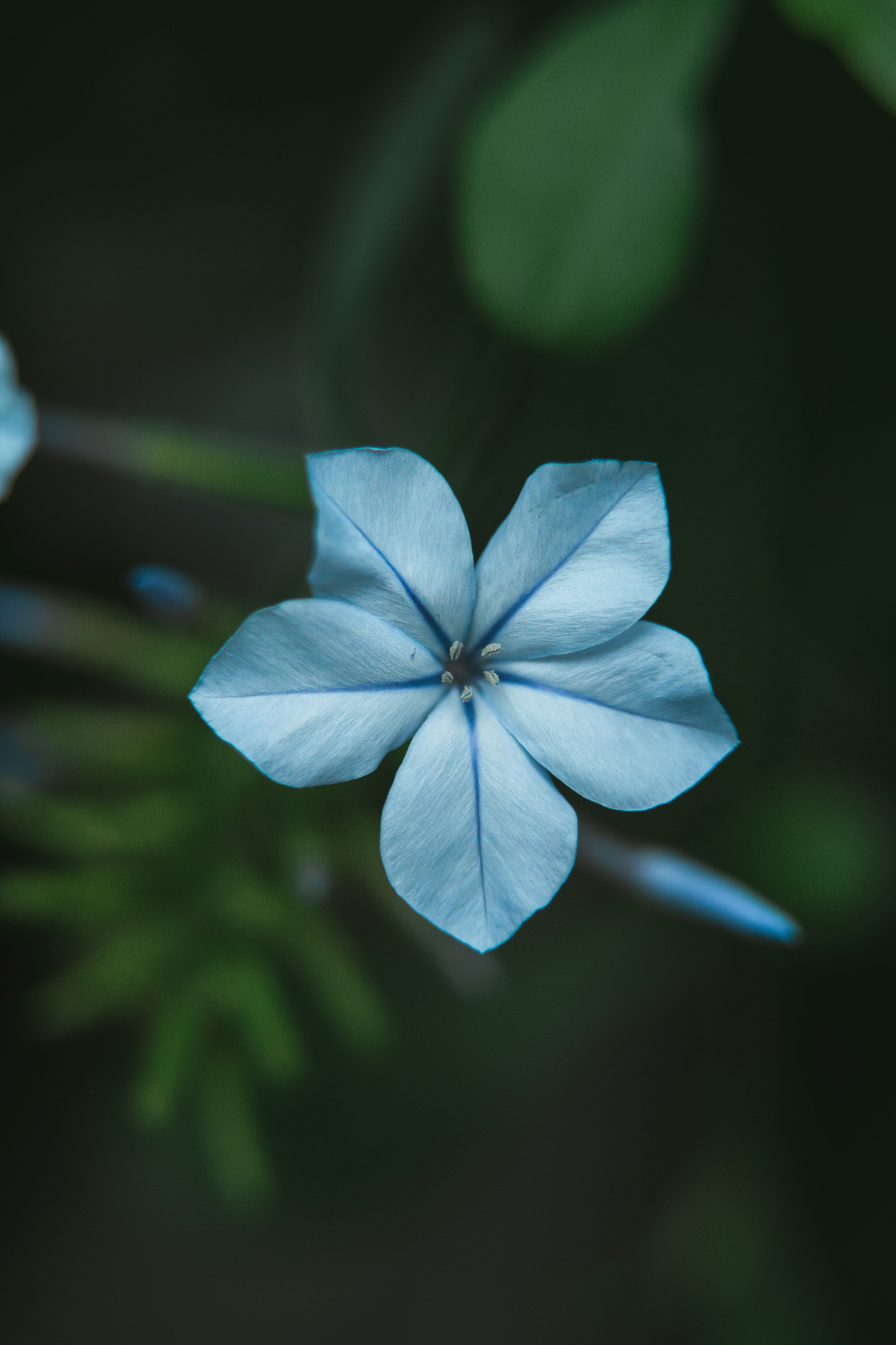 Photo by anamnesis33