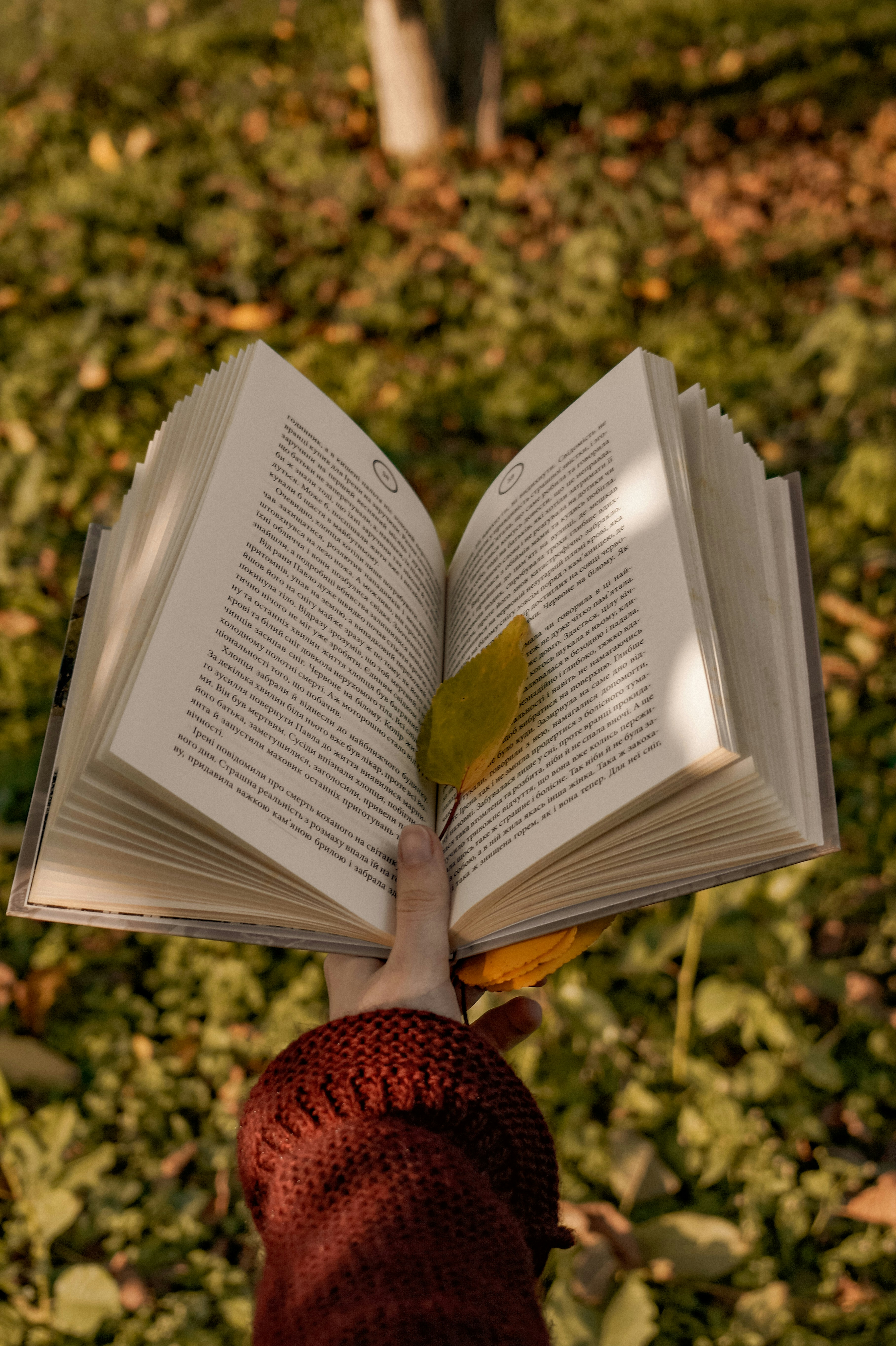 Photo by valentine_ivanova