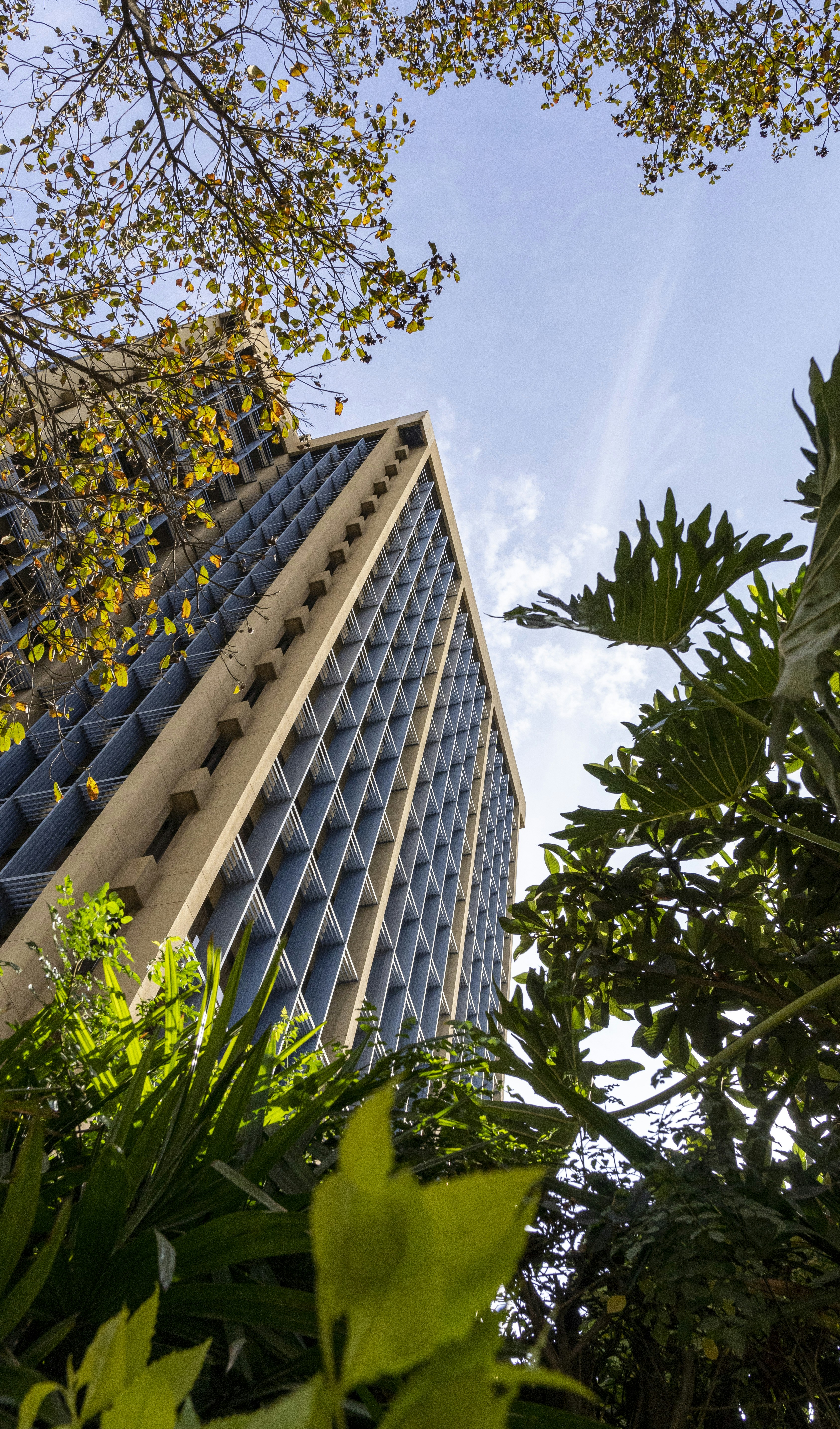 Nairobi travel photo