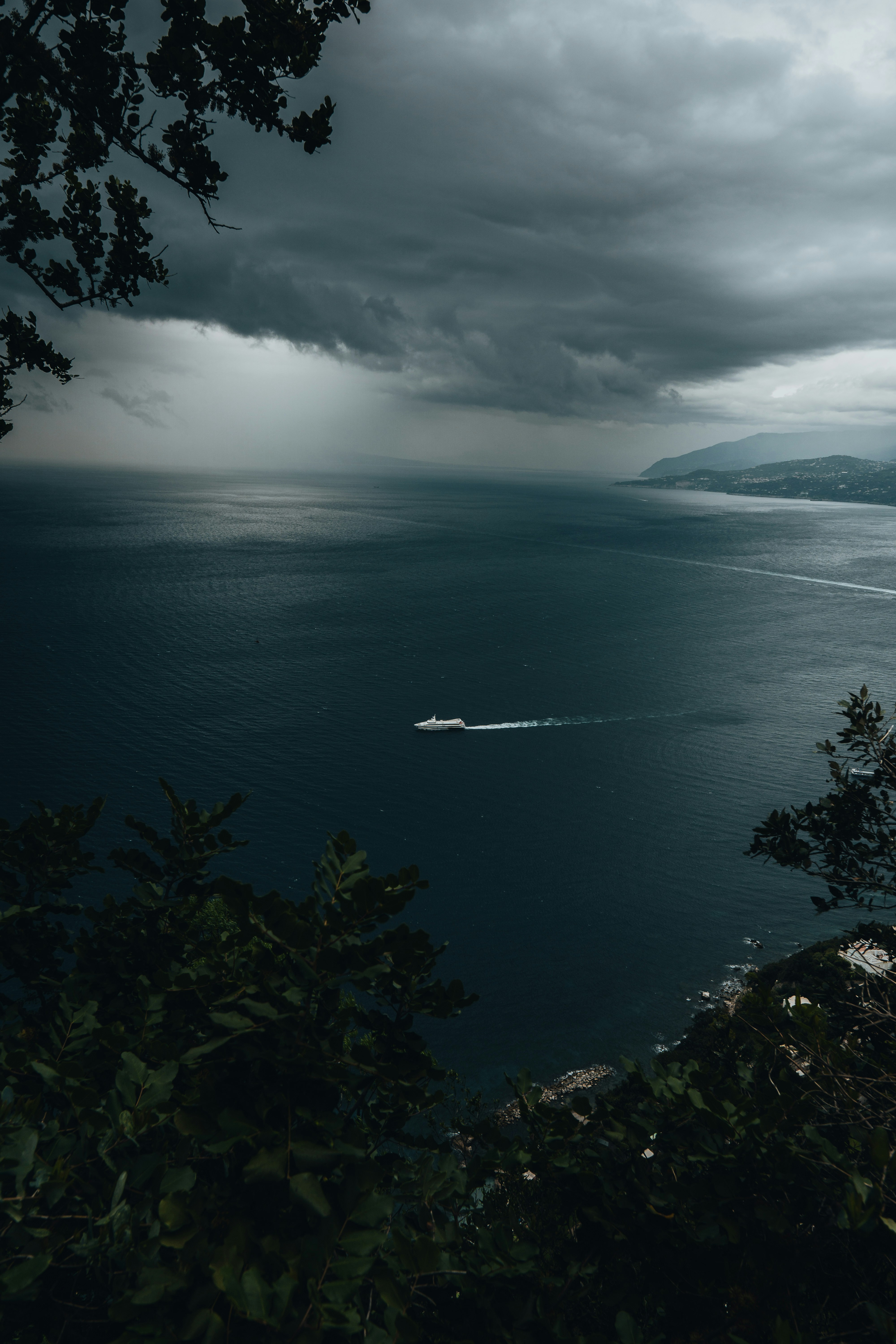 Photo by androwv