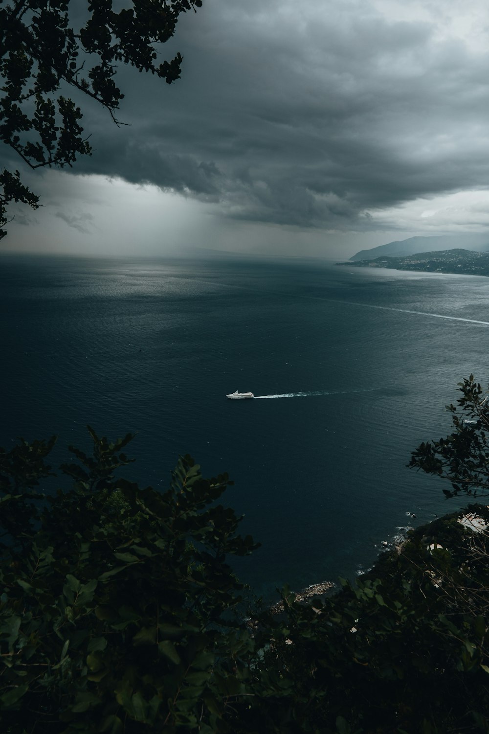 a body of water with trees around it