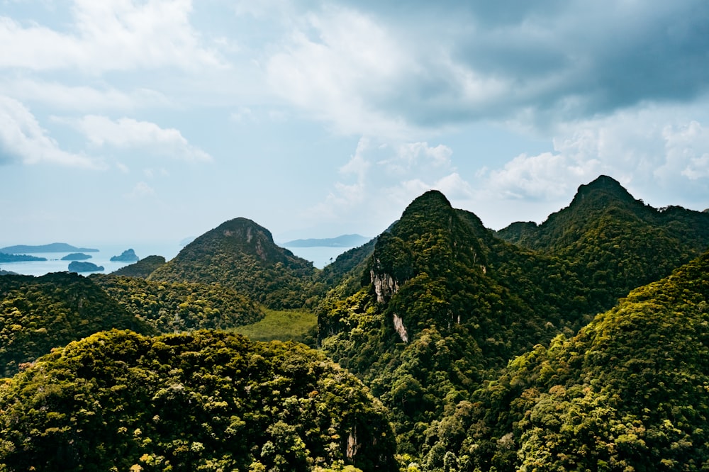 Eine Landschaft mit Hügeln und Bäumen