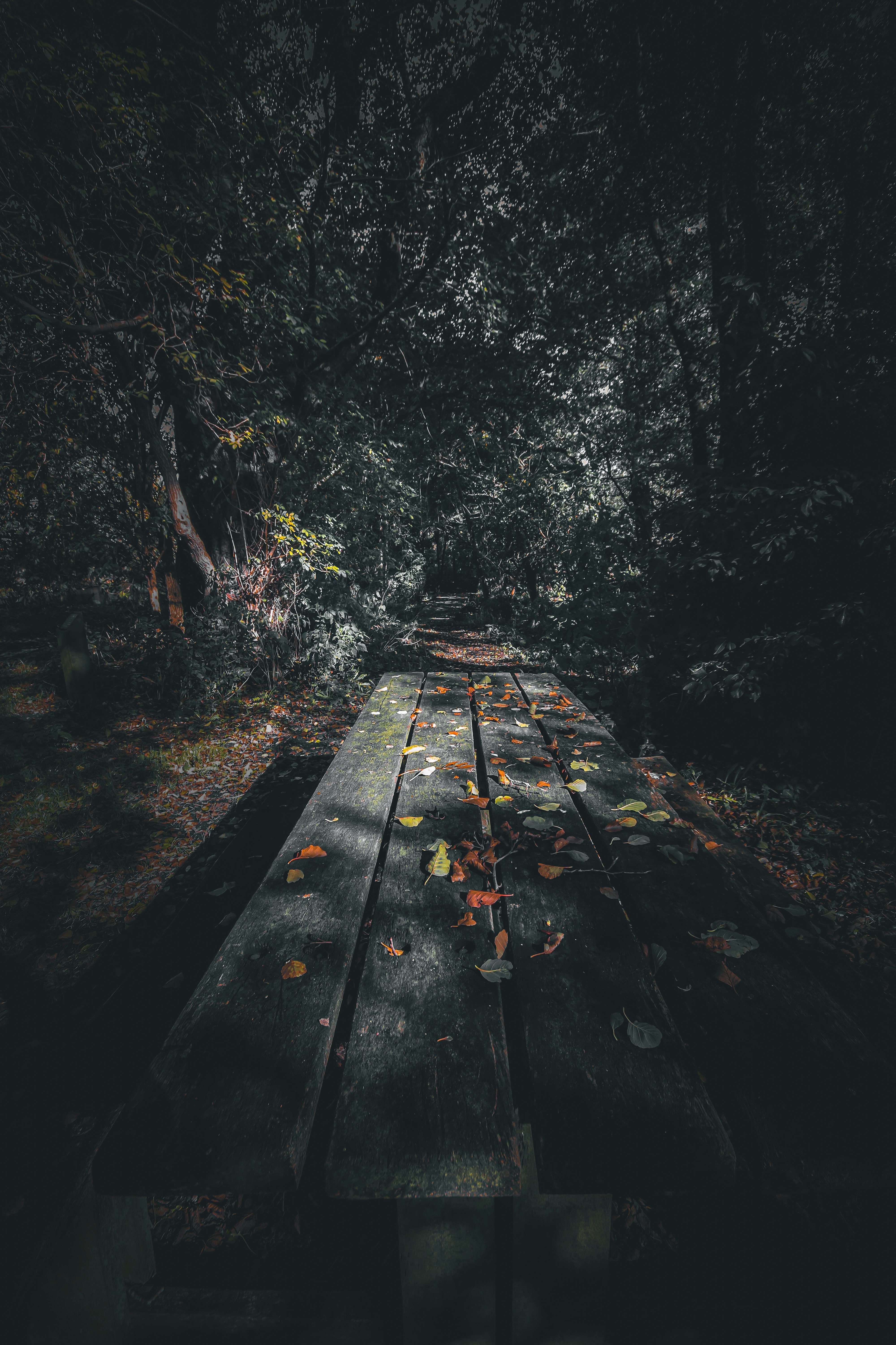 dark halloween wallpaper, wallpaper, Halloween Crafts for Adults: Cheap & Spooky Ideas 2