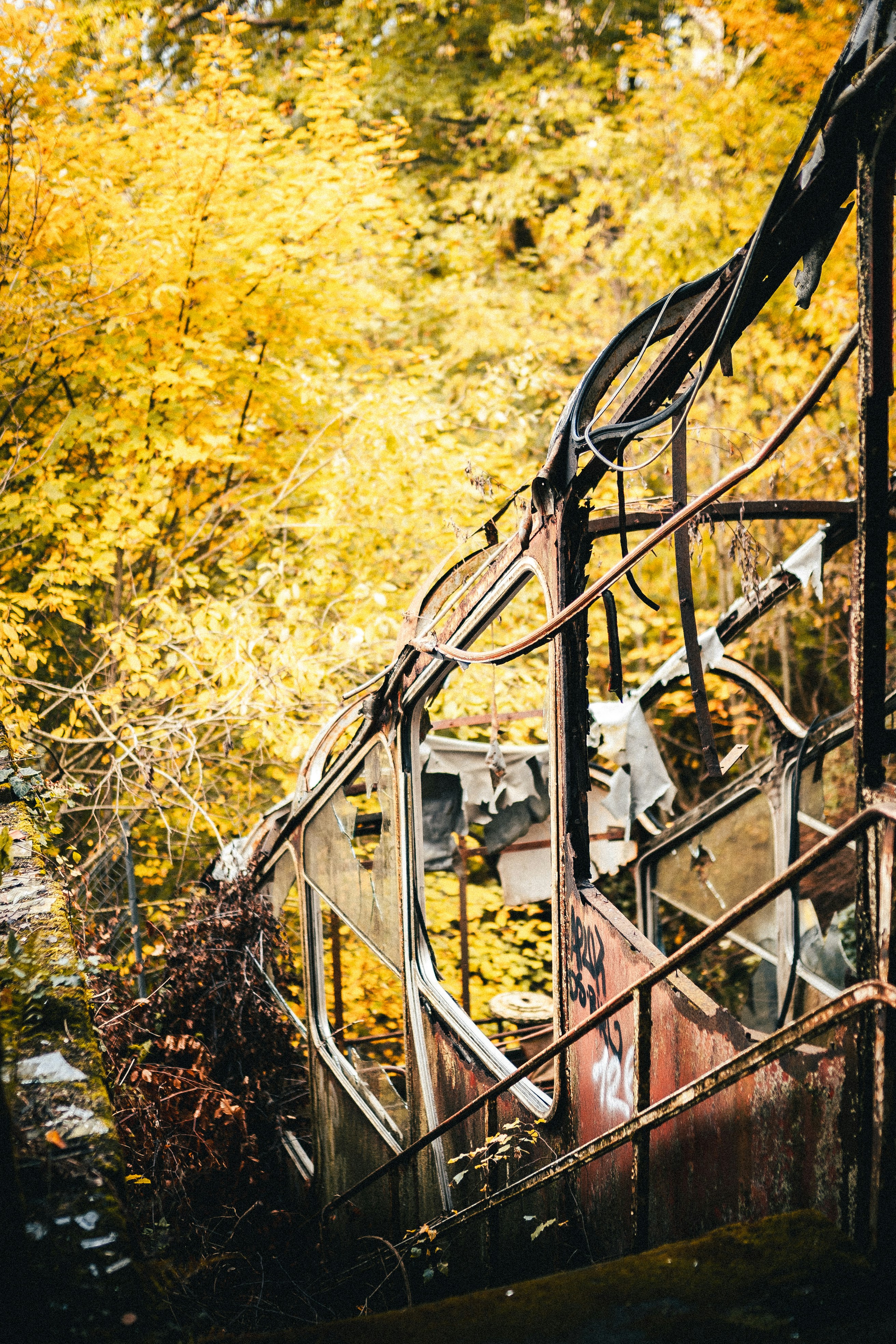 Photo by mauricesahl