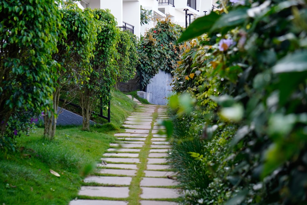 a stone pathway in a garden